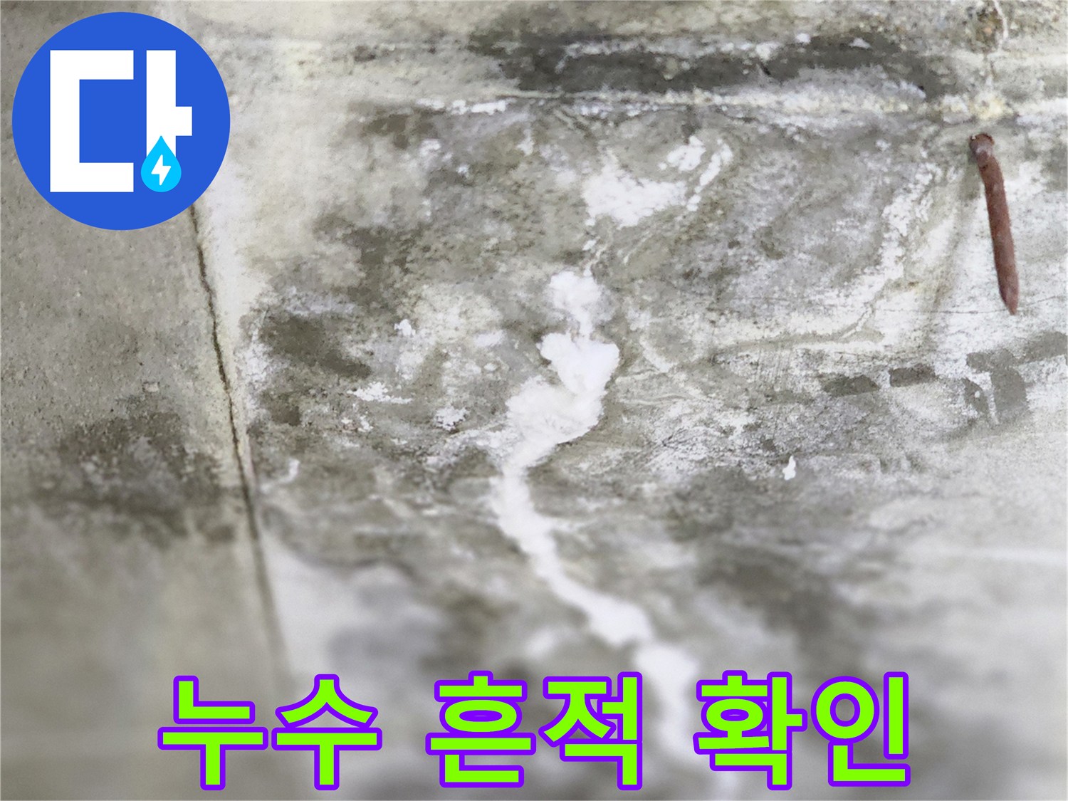 하얀색 백화와 젖은 콘크리트가 섞인 바닥