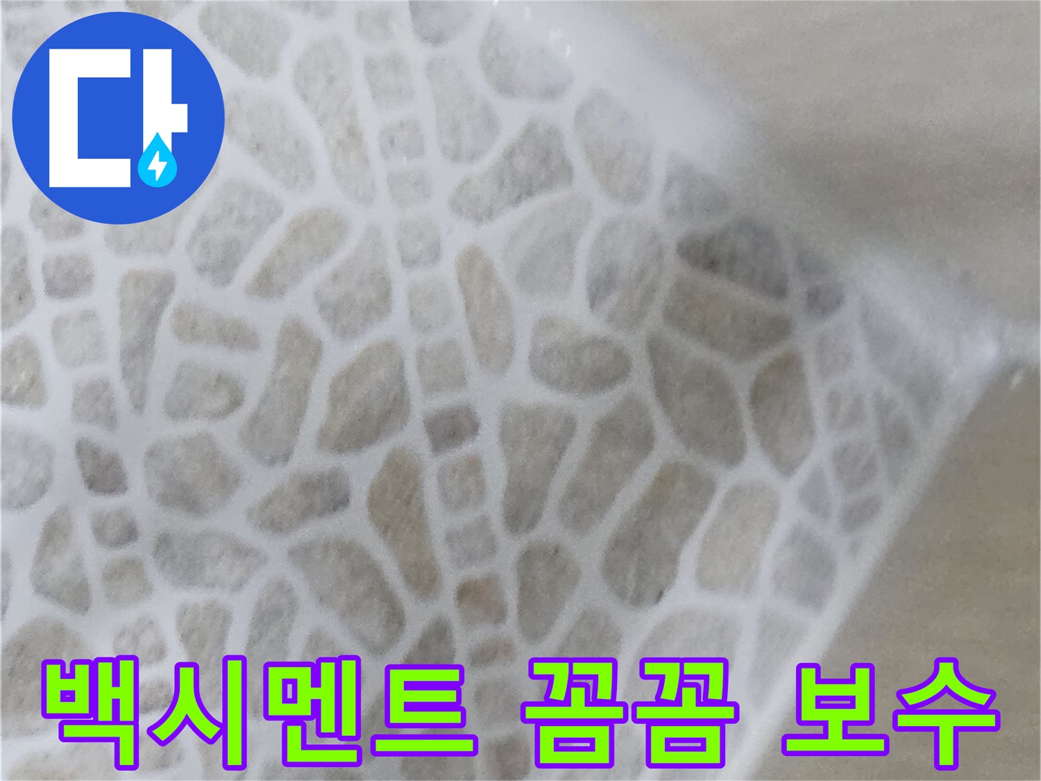 화장실 타일 틈새 누수 - 꼼꼼한 백시멘트 보수 작업 사진