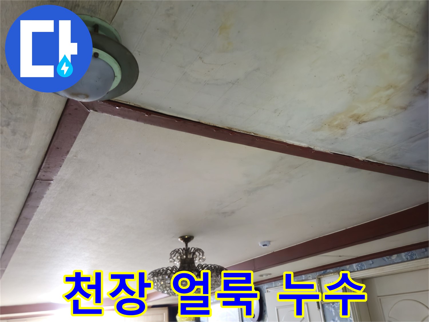 천장에 생긴 얼룩 - 누수 초기 증상일 수 있으니 빠른 점검이 필요합니다