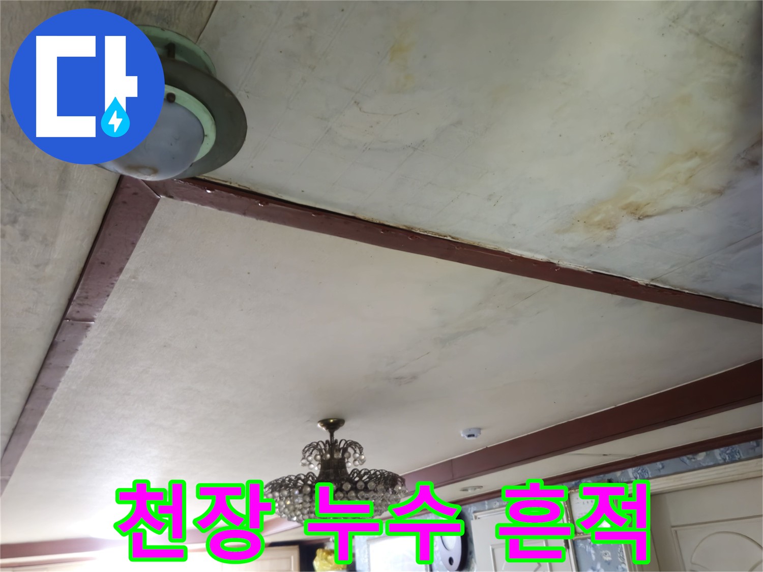 1층 천장에서 물이 뚝뚝 떨어지는 누수 상황 - 건물 누수 문제 해결을 위한 점검 과정