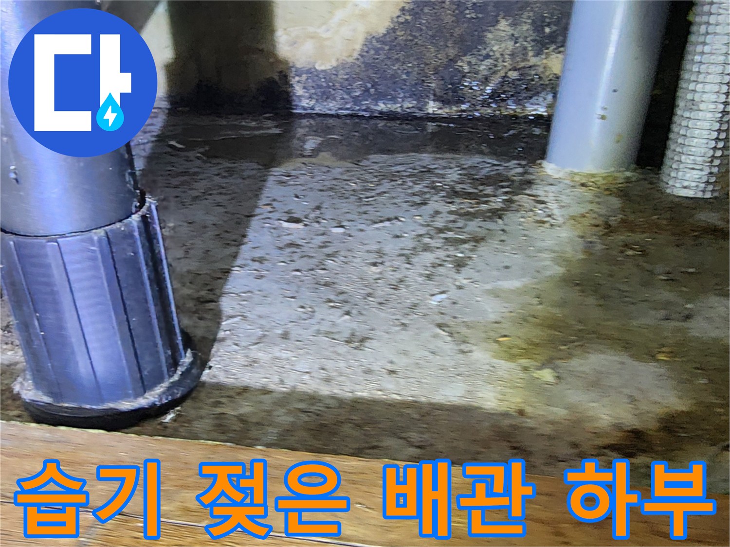 물기가-머물러있는-배수-배관-하단부