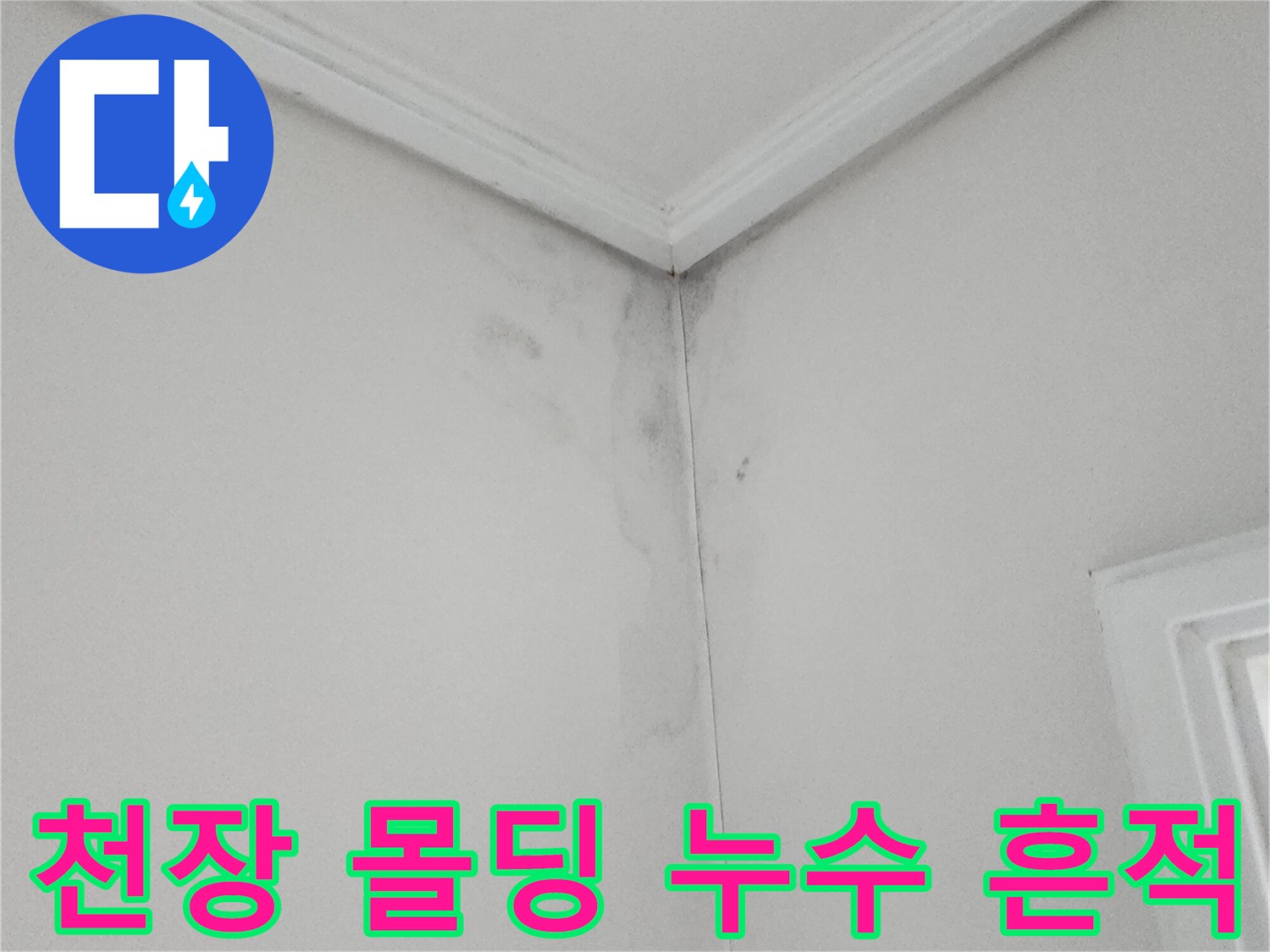 천장 몰딩 아래로 번진 곰팡이와 벽면 오염