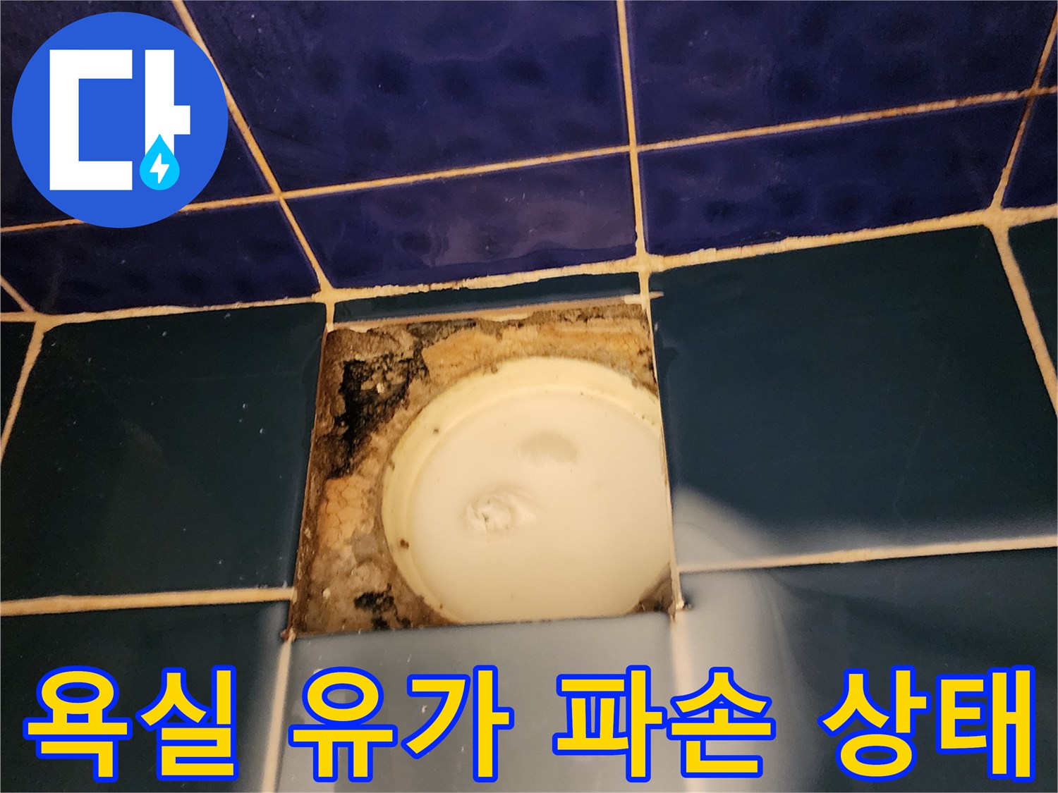 타일이 깨진 부위의 - 배수 트랩과 주변 방수층 노출