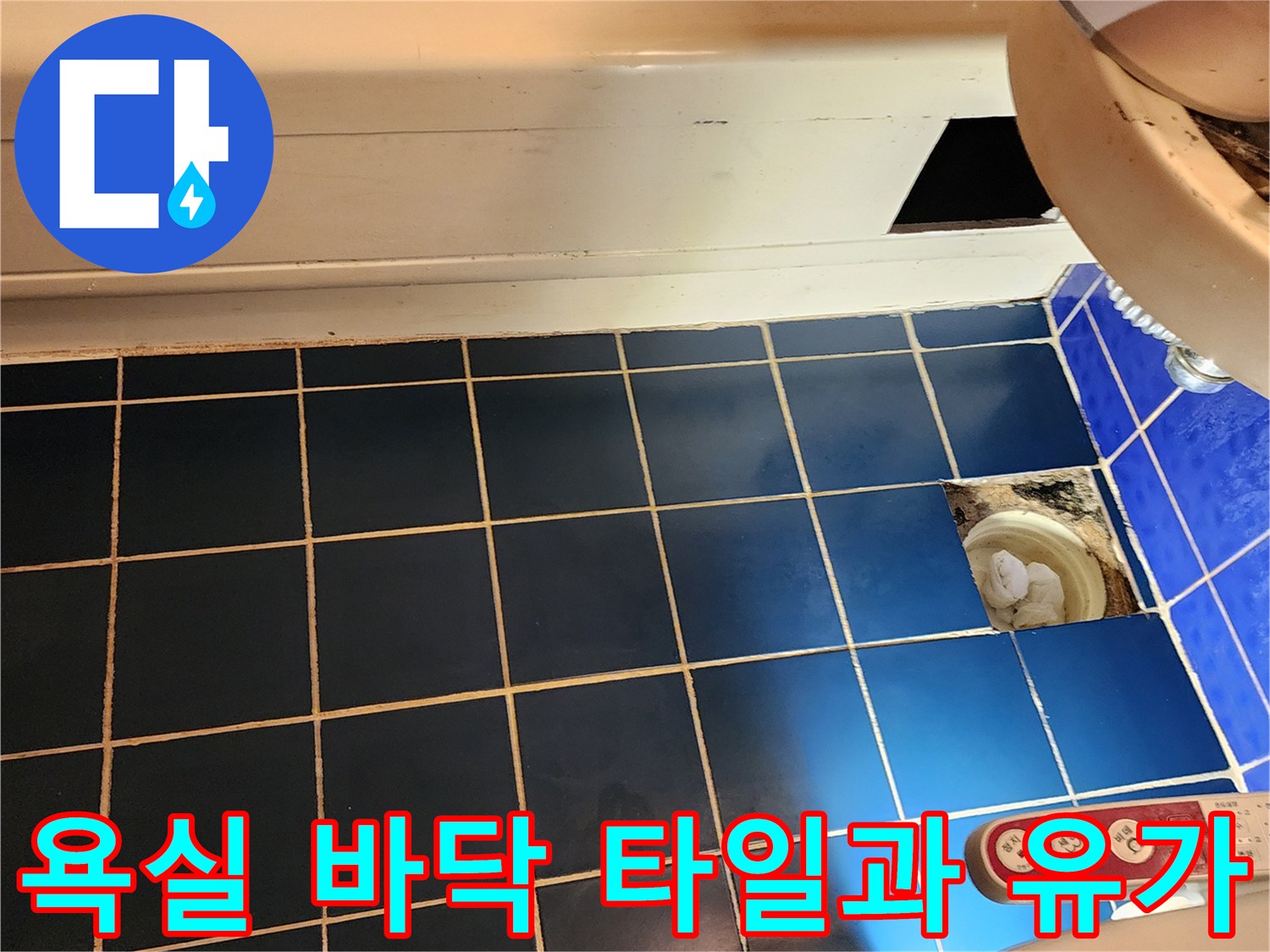 파란색 욕실 타일-배수구 주변 점검 중