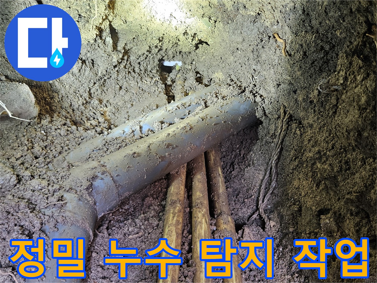 회정동 20통 누수 - 정밀 장비 사용, 숨은 누수 지점 완벽 탐지