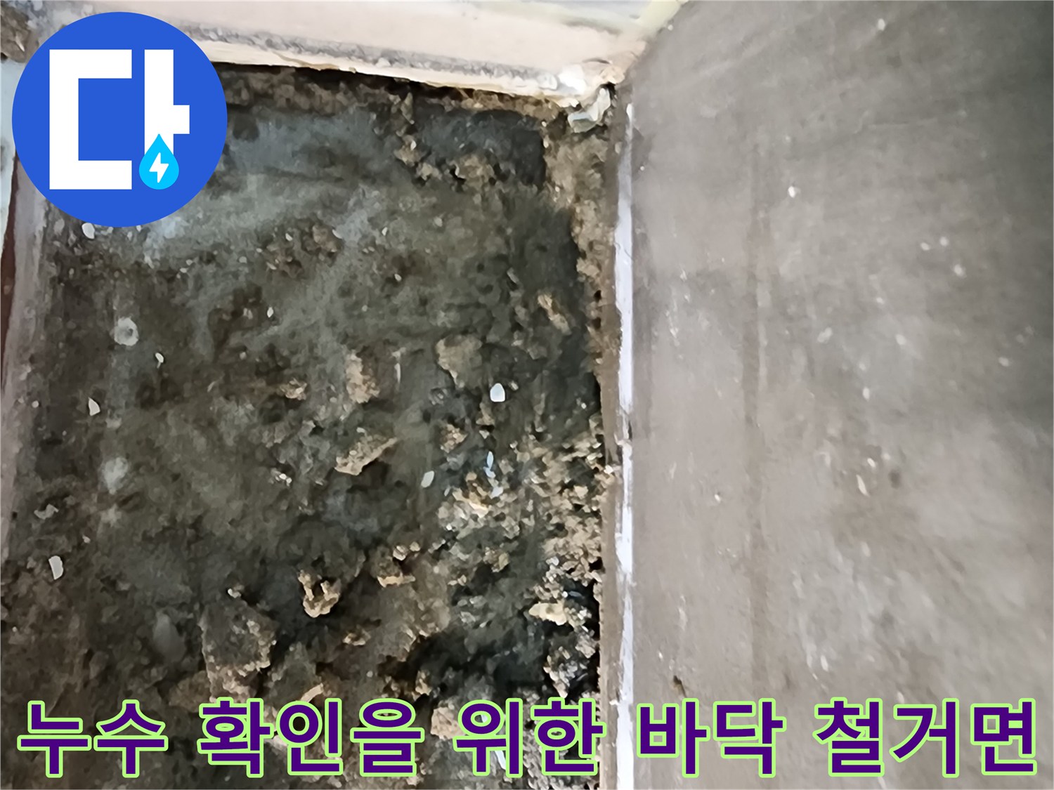 의정부 신곡동-배수구 주변의 오염된 내부 바닥 상태