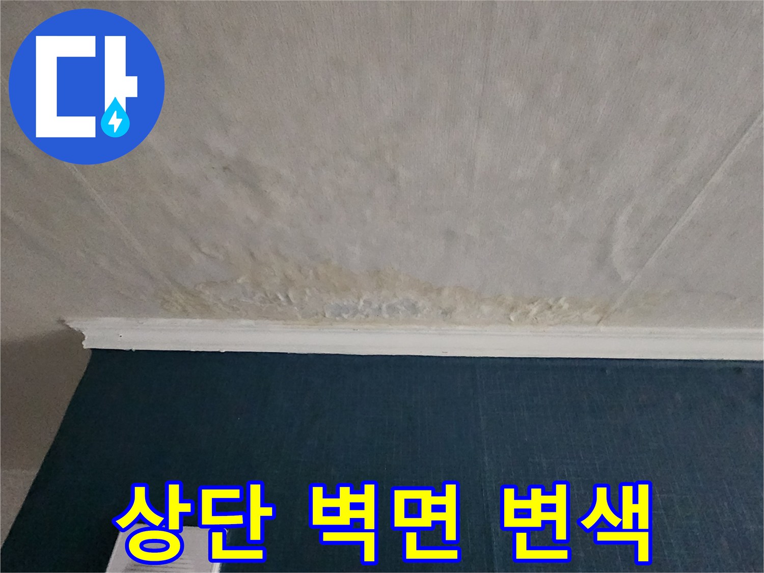 벽면과 천장 경계의 곰팡이 및 변색 부위 상세