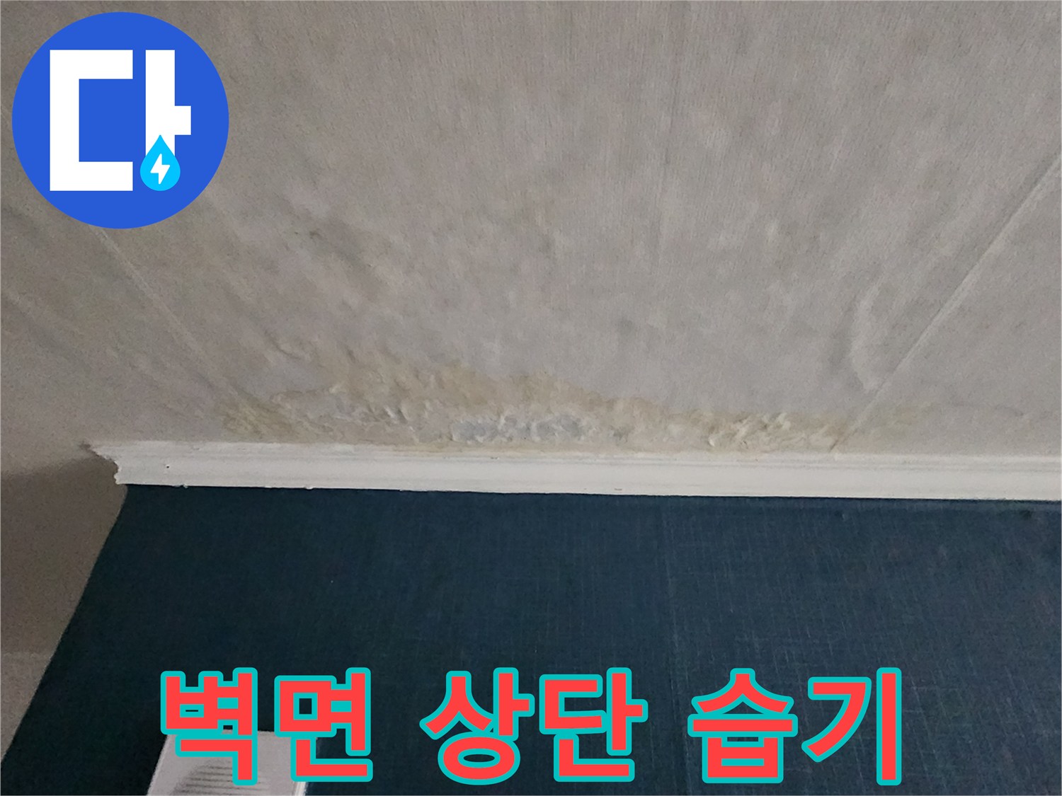 천장 접합부 부근의 눅눅한 습기와 변색된 벽면 상태