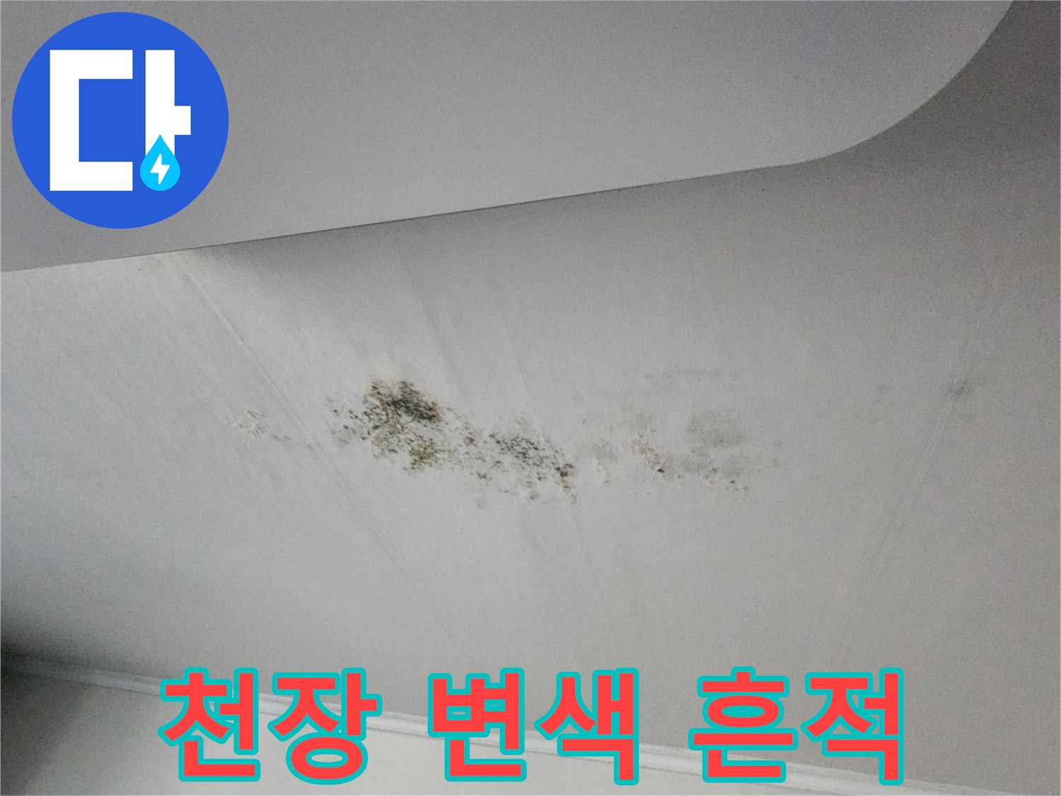 천장-표면에-발생한-황색-변색과-곰팡이-흔적