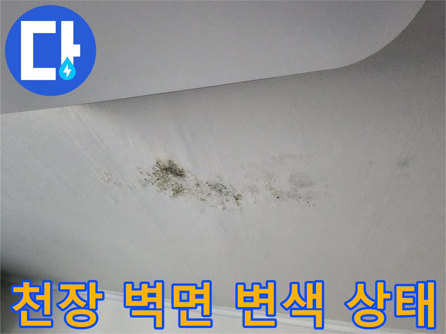 흰색 천장 마감재에 나타난 갈색 및 검은색의 습기 침투 흔적