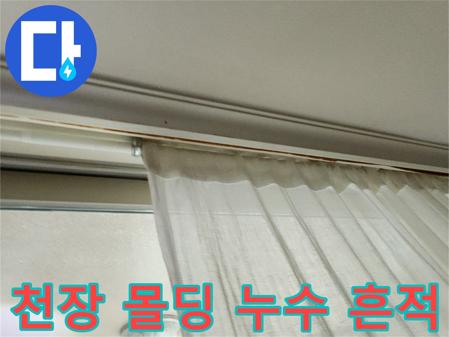 거실 천장 몰딩과 벽지 경계의 습윤 상태
