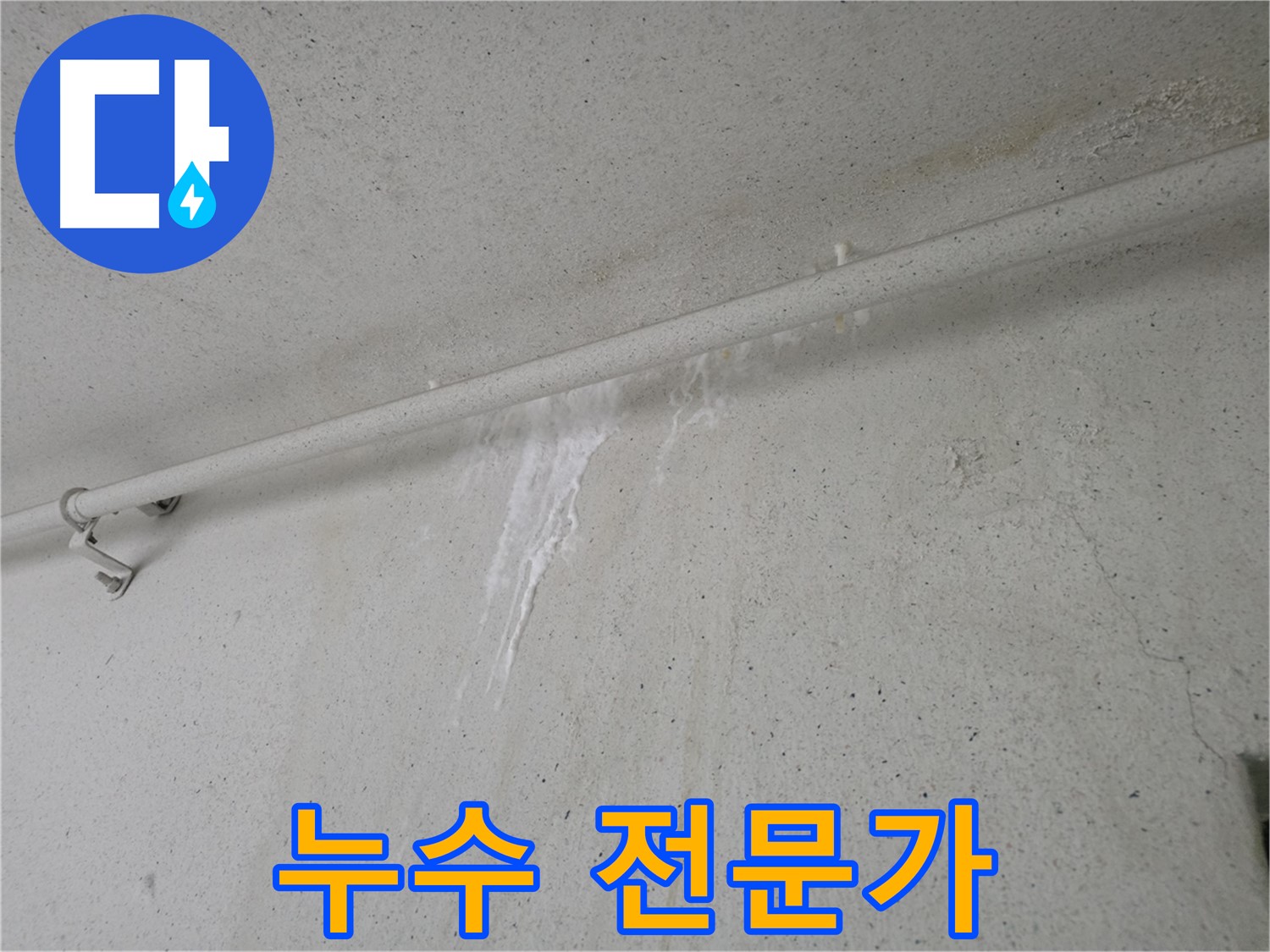 누수 문제 해결 전문가