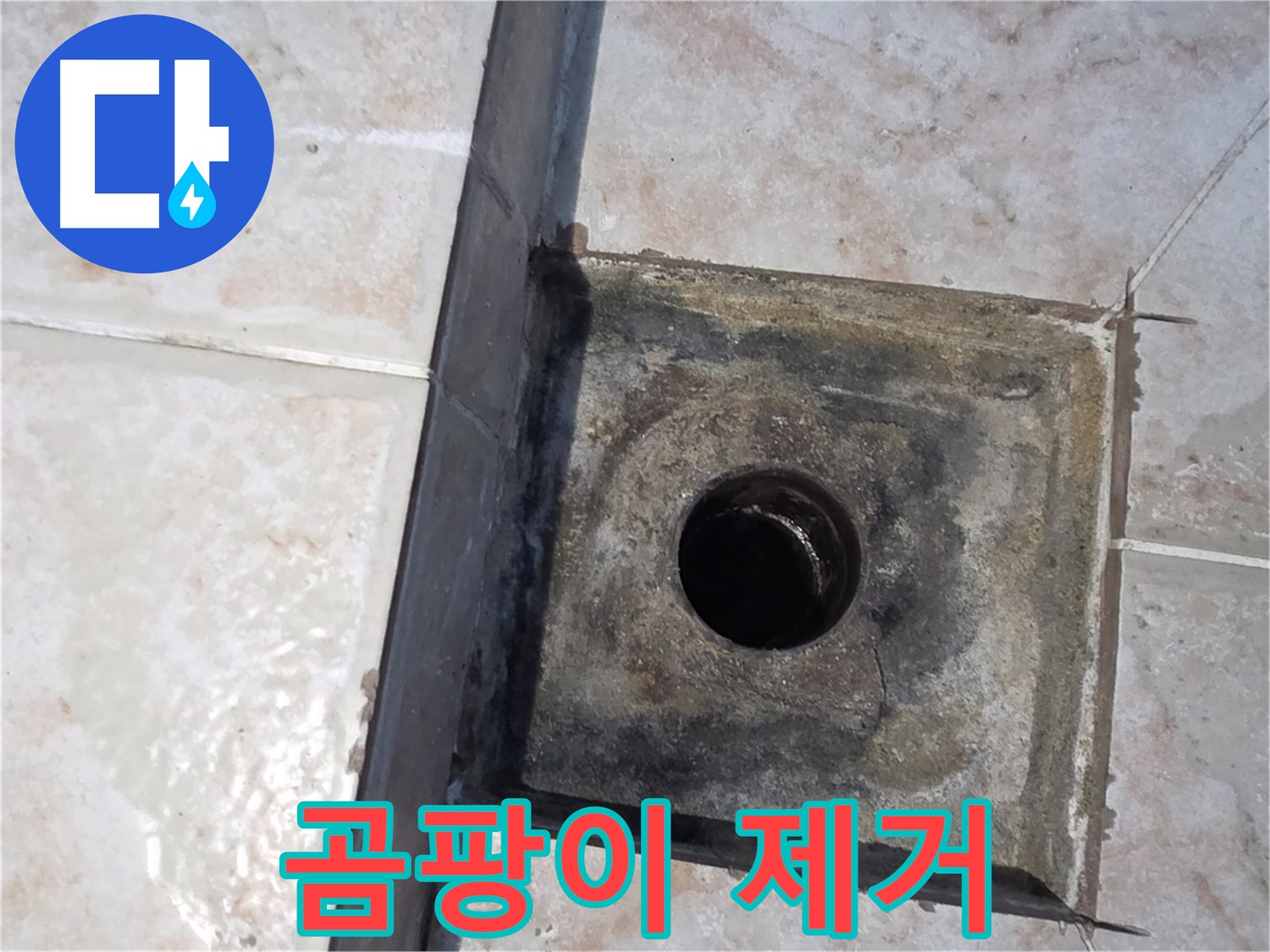 안양 곰팡이 누수 제거 - 쾌적한 욕실 환경 조성