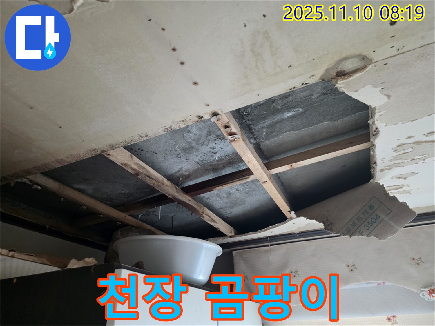 안양 만안구 초원맨션 천장 속 곰팡이 - 건강에 해로움