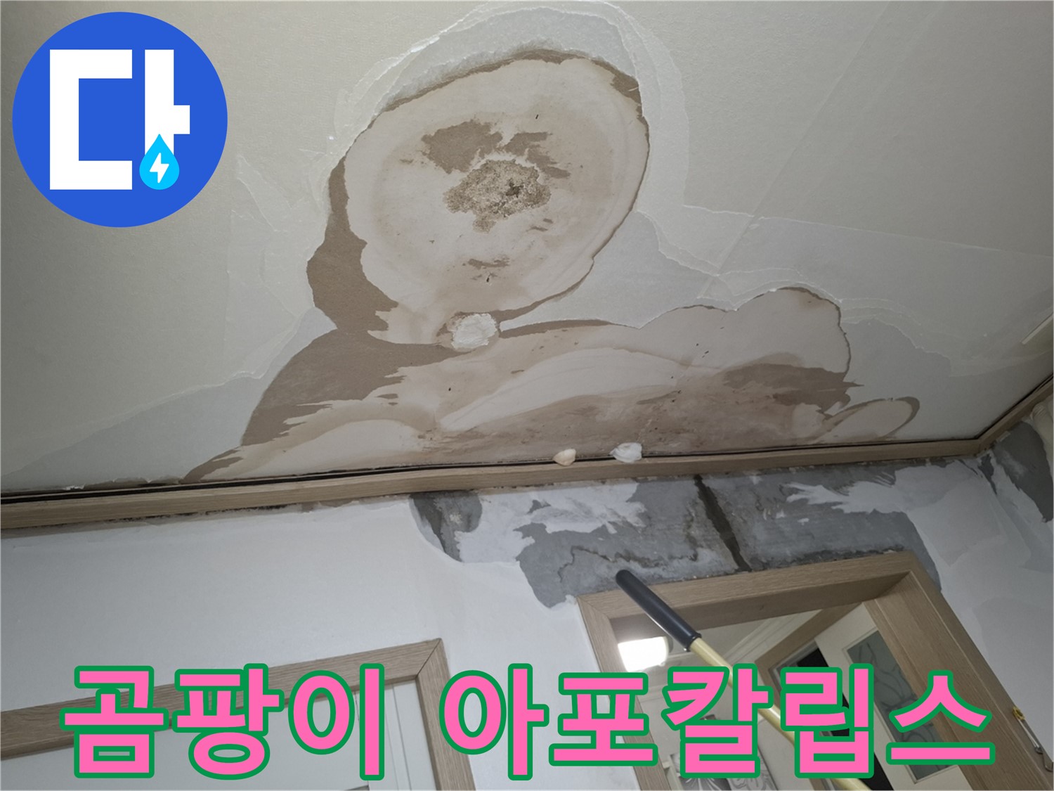 곰팡이 아포칼립스 - 쾌적한 집, 되찾아 줄게!