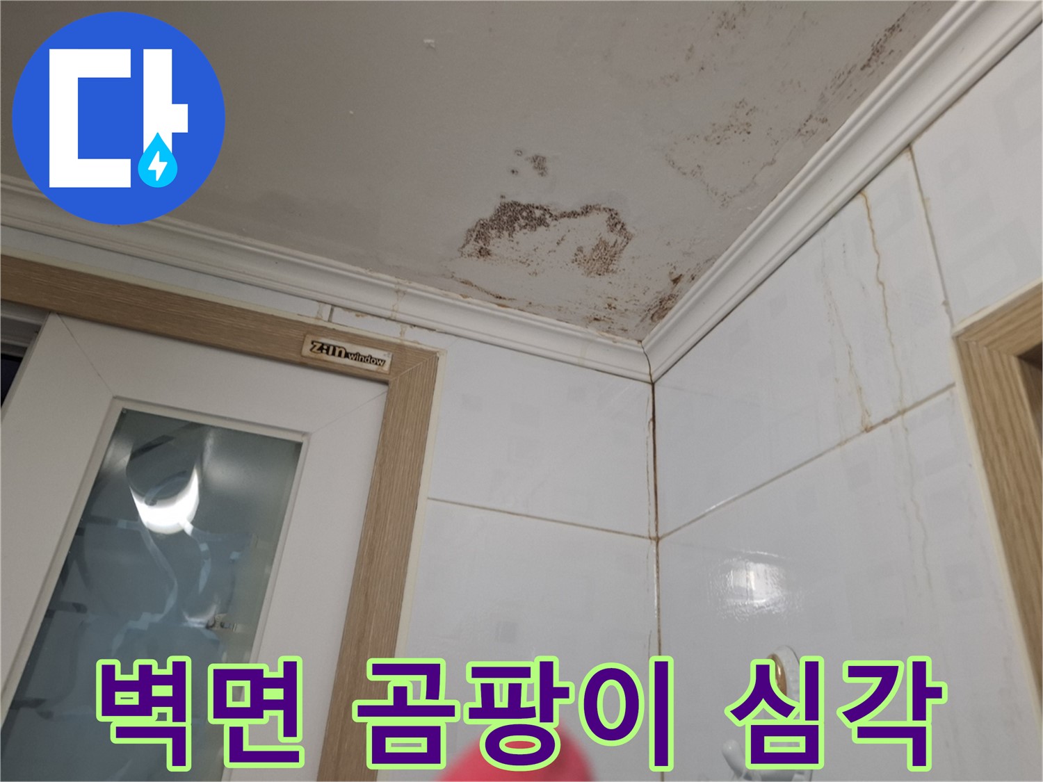 벽면 곰팡이 - 환기 불량 - 꼼꼼 점검