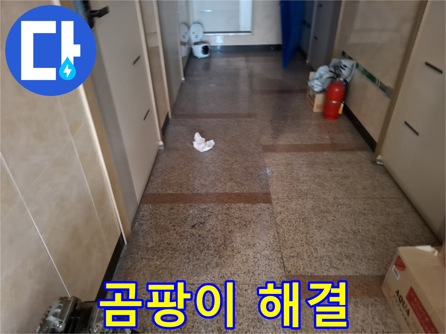 복도 곰팡이 해결 - 확실 시공 - 신림 누수 전문