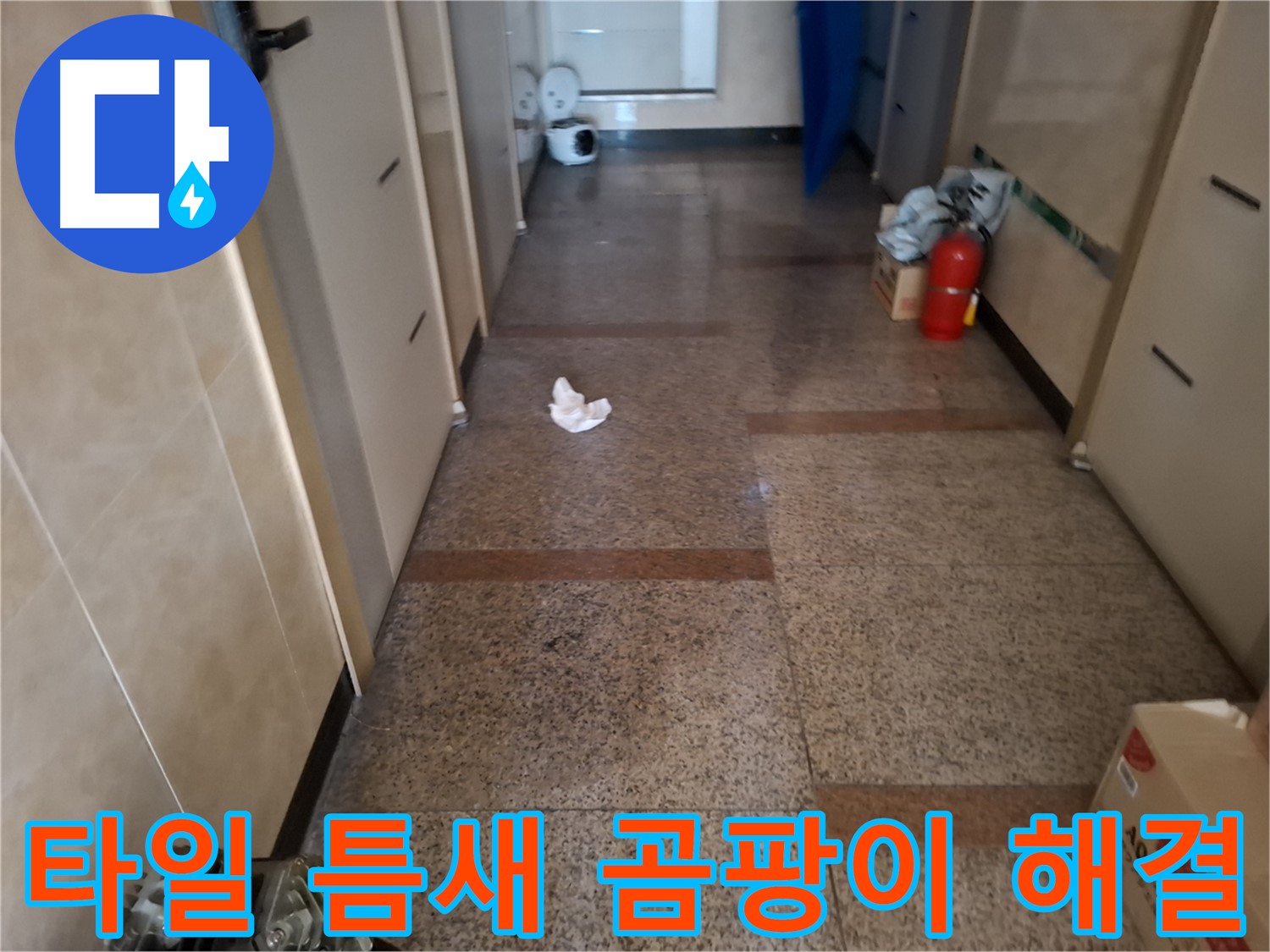 복도 타일 틈새 곰팡이 해결 - 확실한 시공 - 신림 누수 전문