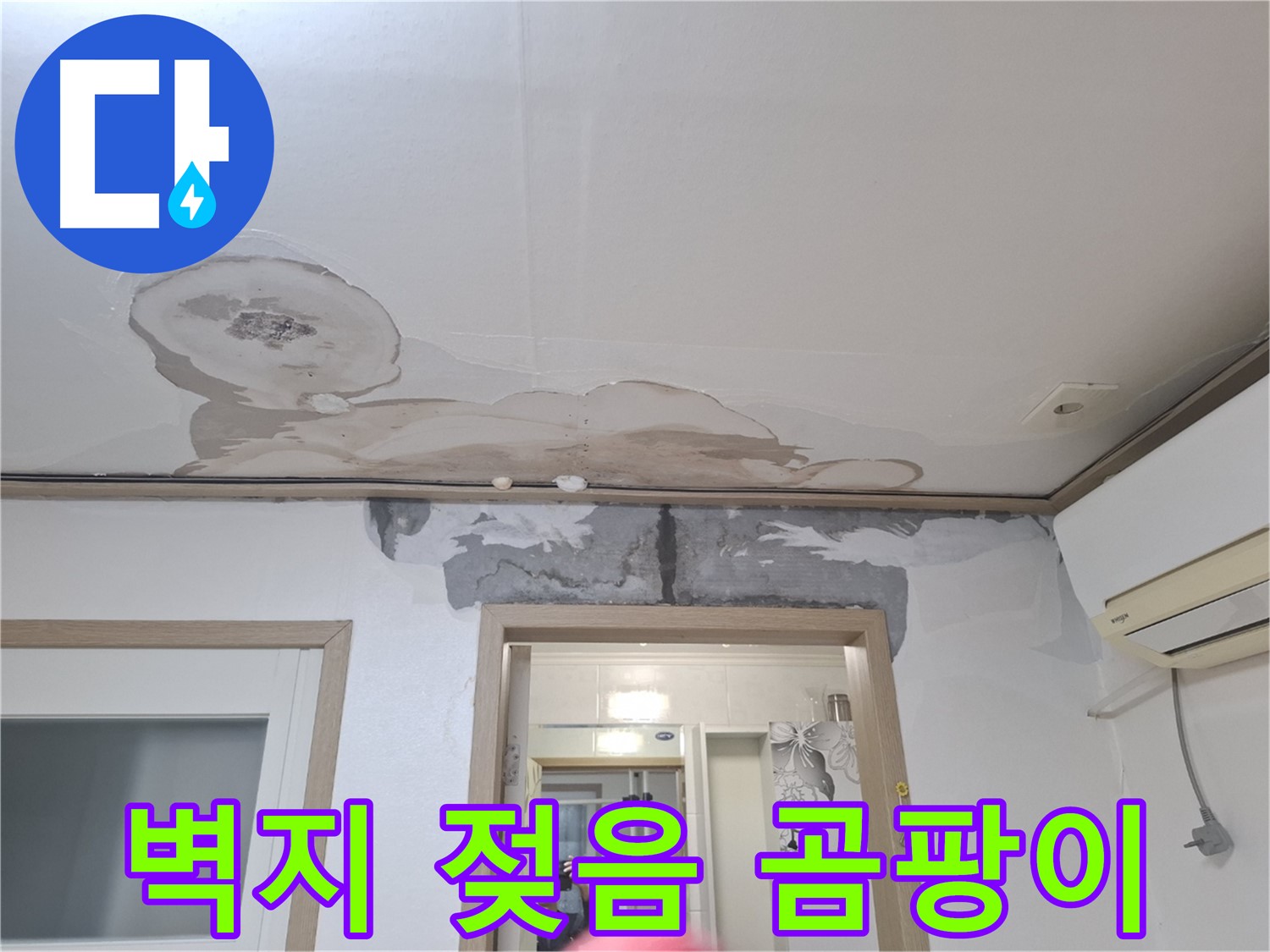 윗집 누수 의심 - 벽지가 젖어 곰팡이가 피고 있어요