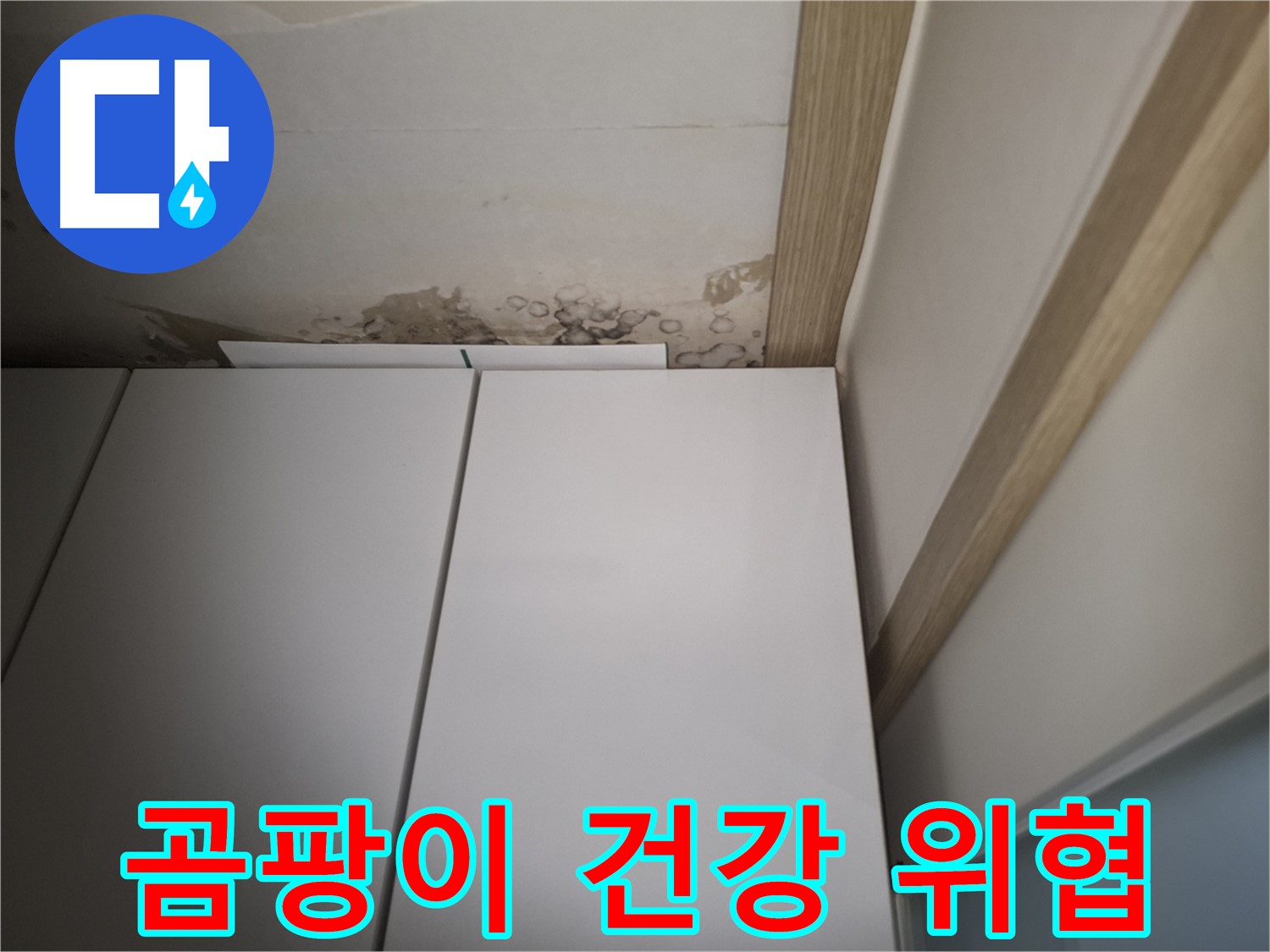 장롱 주변에 곰팡이가 심하게 핀 모습 - 건강을 위협할 수 있습니다.