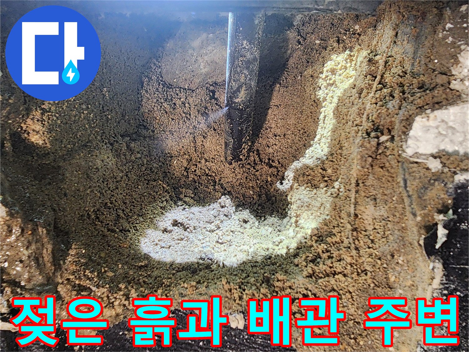누수로-인해-하얗게-변한-배관-주변-토사
