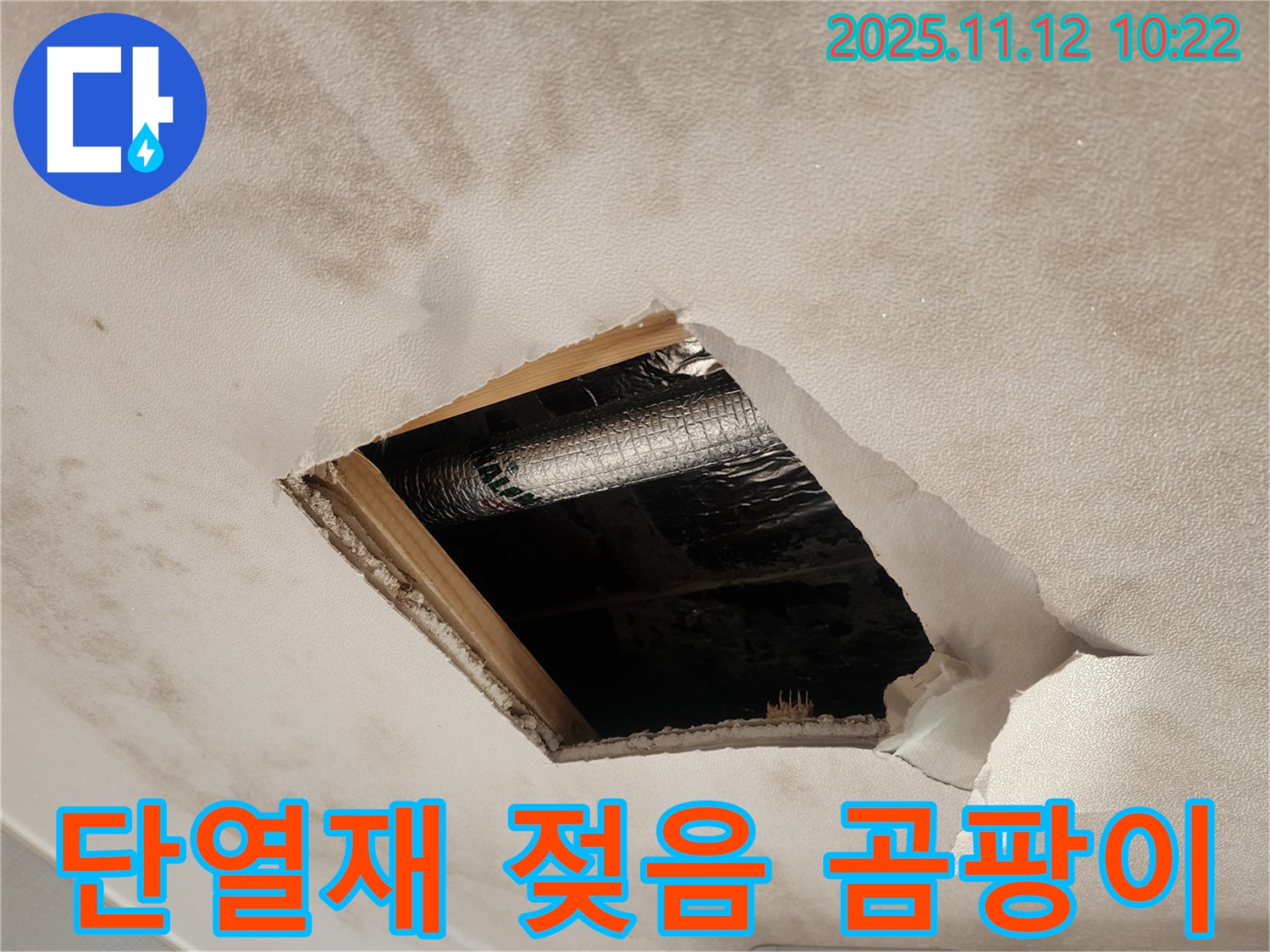 젖은 단열재와 곰팡이 - 누수로 인한 단열재 손상 및 곰팡이 발생