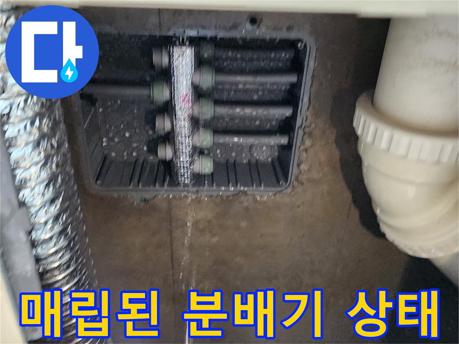 주방 싱크대 하부-매립 배관함 내부의 분배기 모습