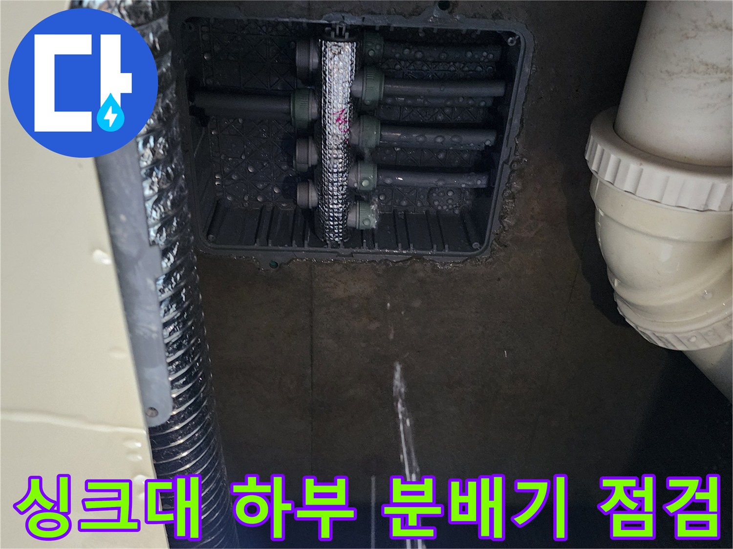 포천 소흘읍 현장의 싱크대 하부 매립 배관함 내부 상태