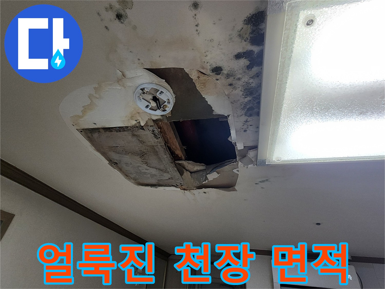 넓게-퍼진-천장-물-얼룩과-곰팡이-발생-부위