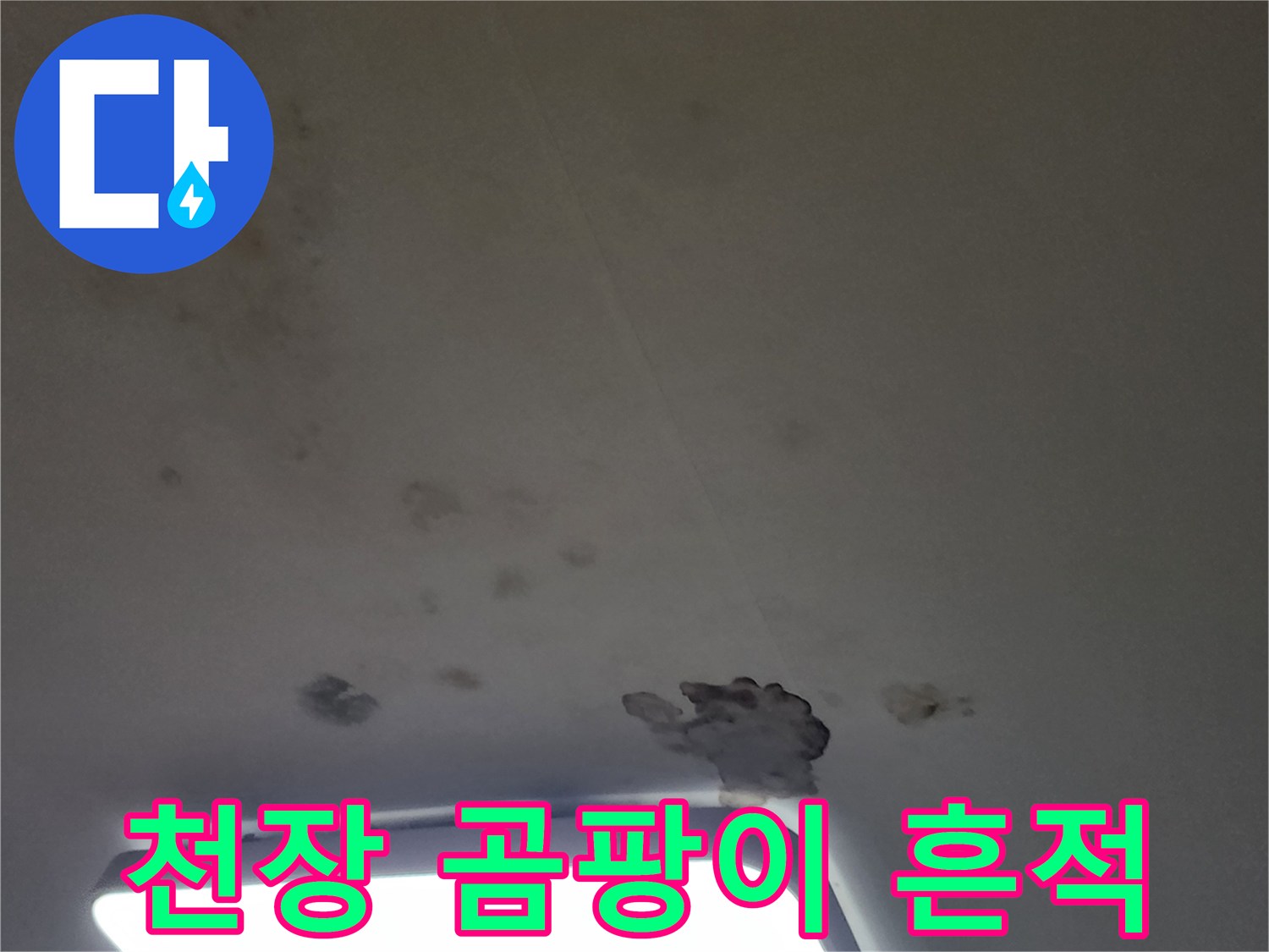 누수 피해로 인해 발생한 천장 벽지 곰팡이와 얼룩