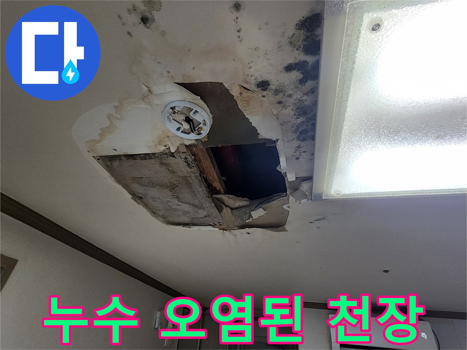 물샘으로 인해 변색되고 곰팡이가 생긴 천장