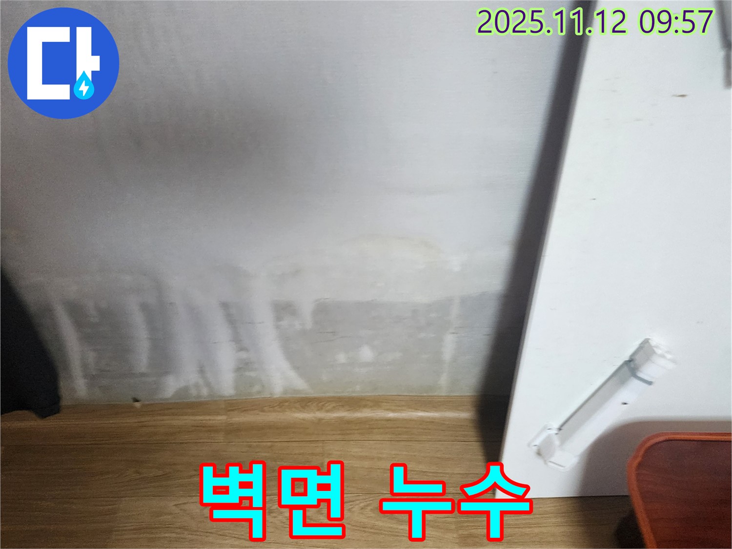 벽면 누수 - 건물 손상 - 안전 점검