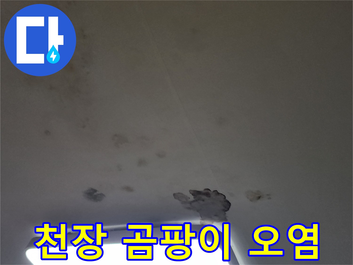 습기로 인해 부식된 천장 마감재의 모습