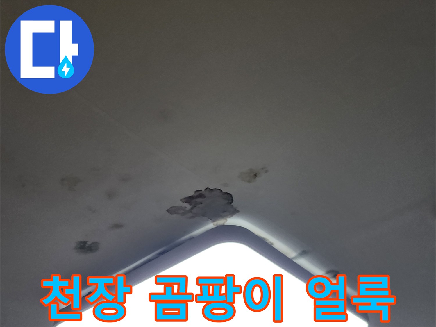 아파트 거실 천장 조명 주변의 곰팡이와 물 얼룩 상태