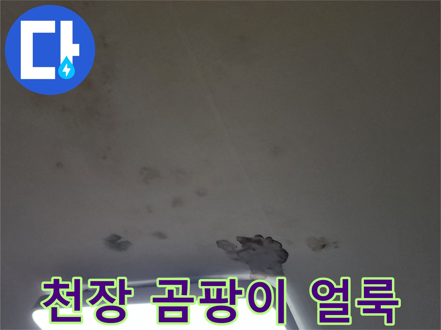 아파트 거실 천장에 발생한 곰팡이와 물얼룩 상태