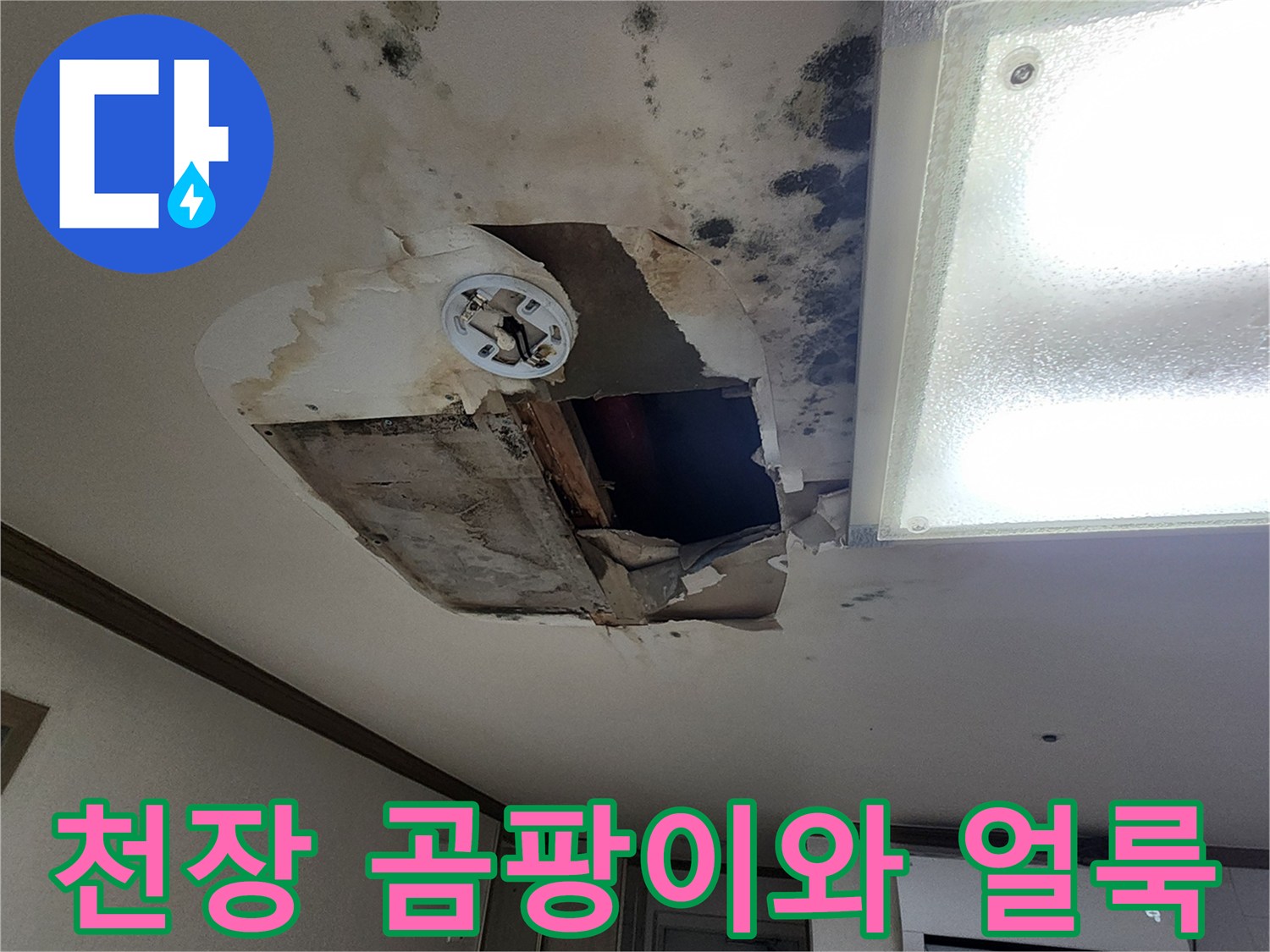 아파트-거실-천장에-발생한-심각한-곰팡이-및-물-얼룩-상태