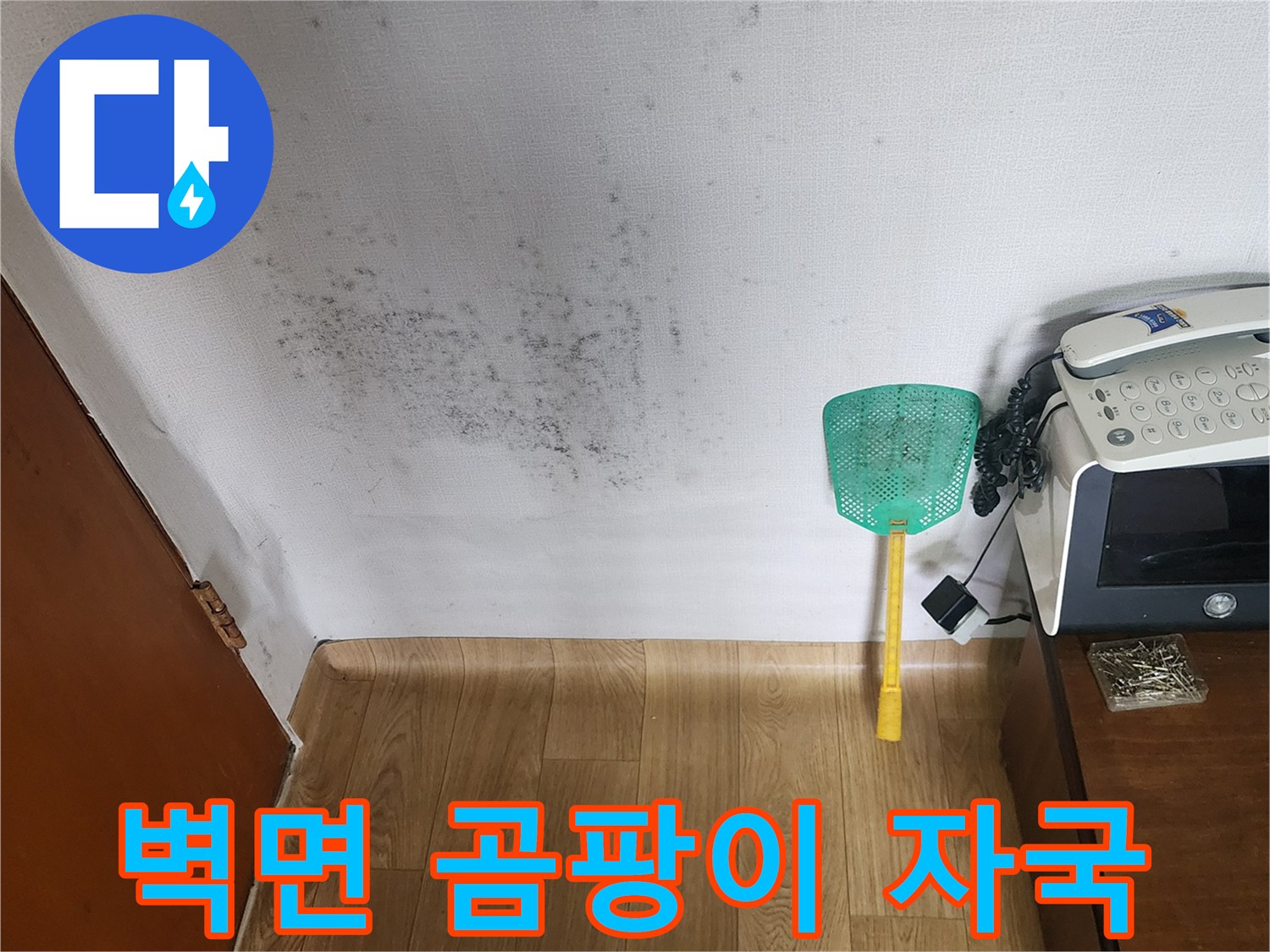 아파트 벽지에 발생한 넓은 범위의 누수 얼룩과 곰팡이