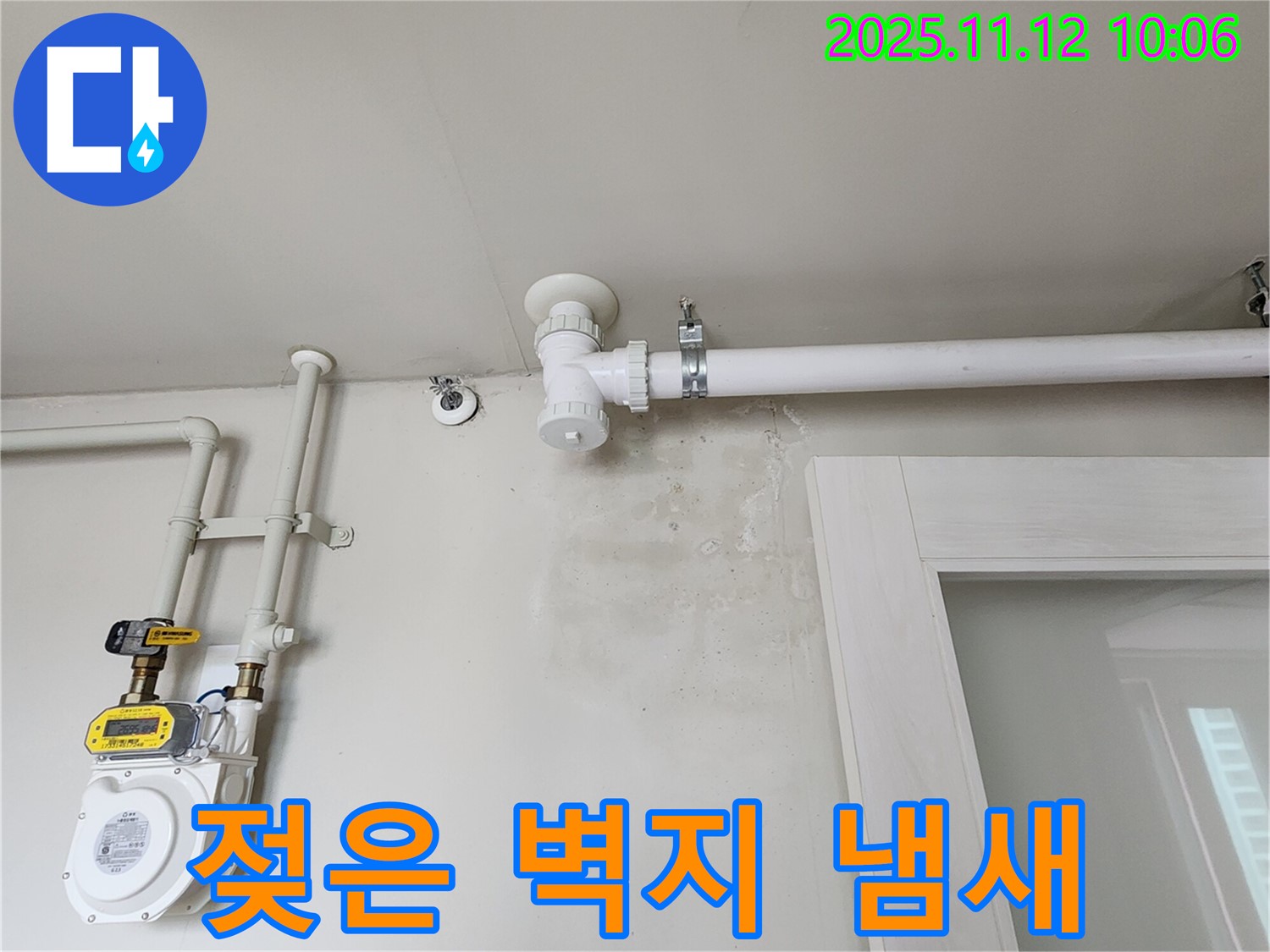 젖은 벽지 냄새 - 곰팡이 포자가 확산되고 있어요, 건강에 적신호, 긴급 점검!