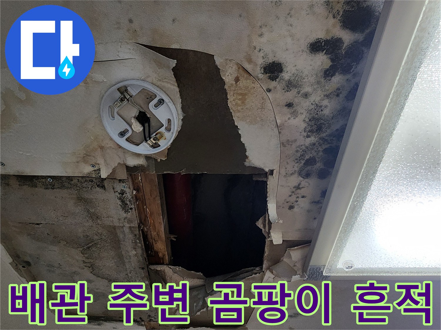 천장 내부 배관-주변의 곰<0xAE>팡이와 물 얼룩