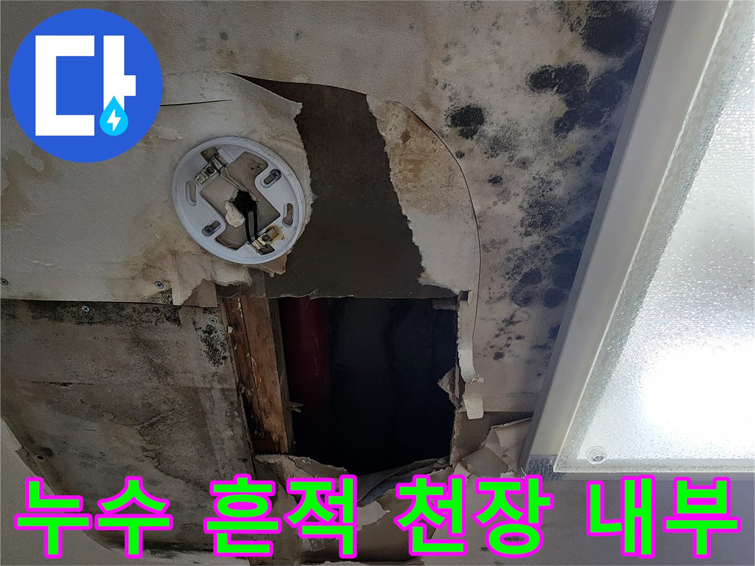 천장-절개-후-보이는-배관-주변-오염-상태