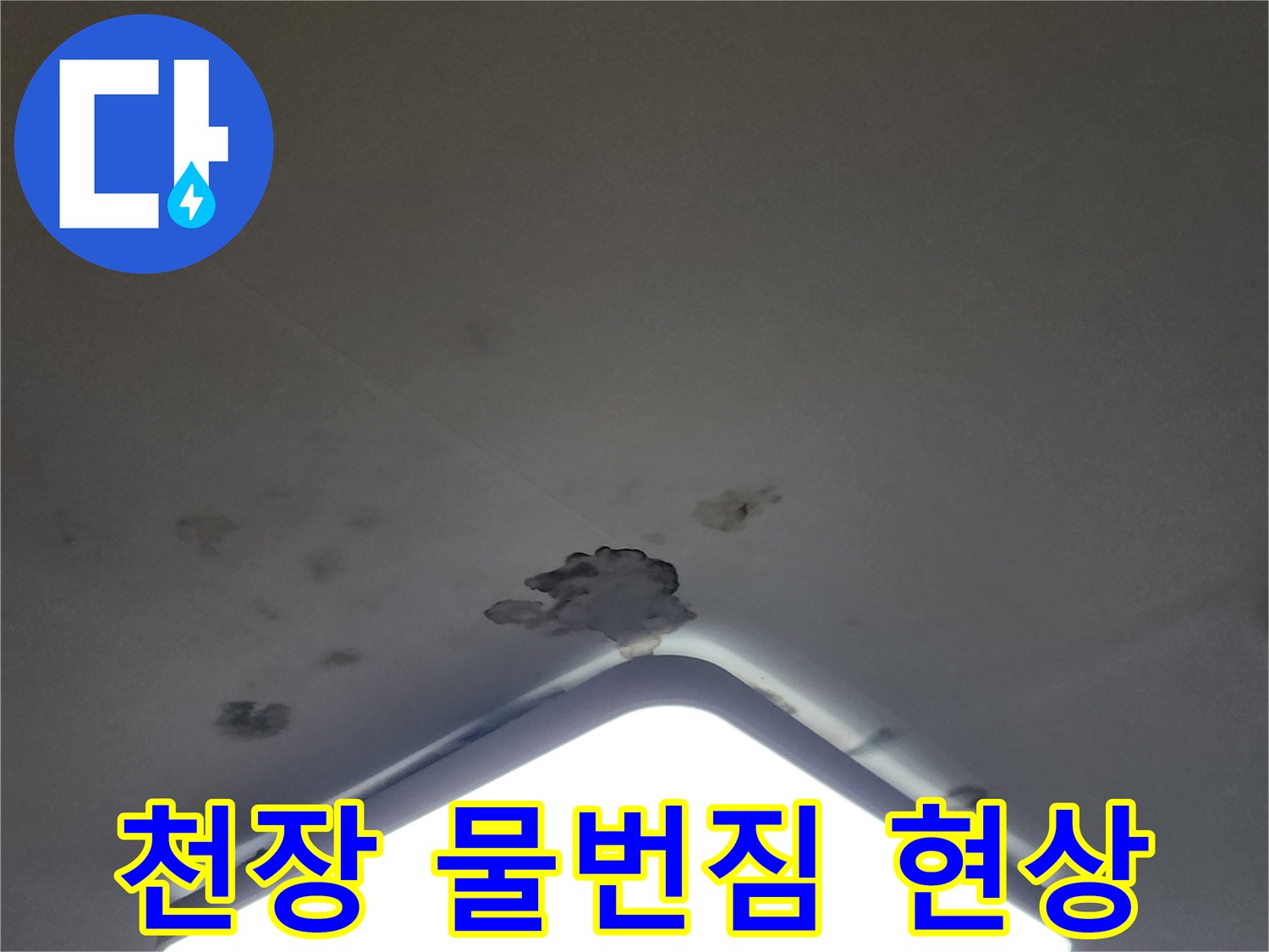 천장 조명 부근의 젖은 얼룩과 곰팡이 포자 흔적