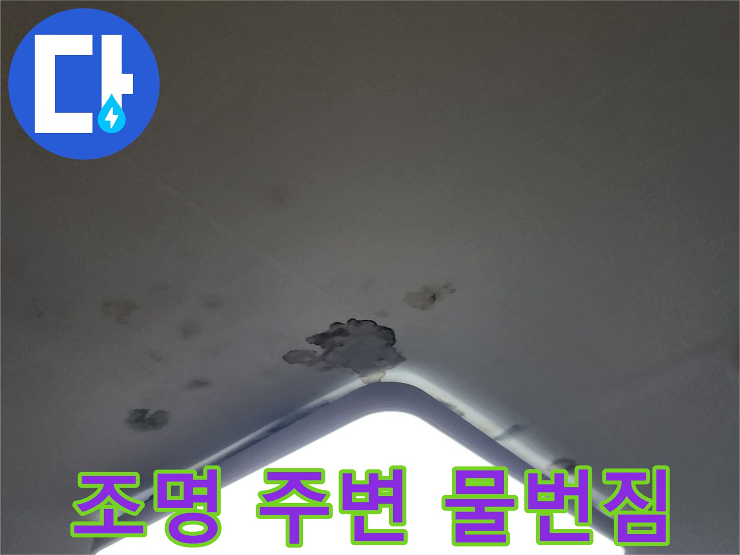 천장 조명 케이스 주변에 나타난 누수 흔적과 곰팡이 부위