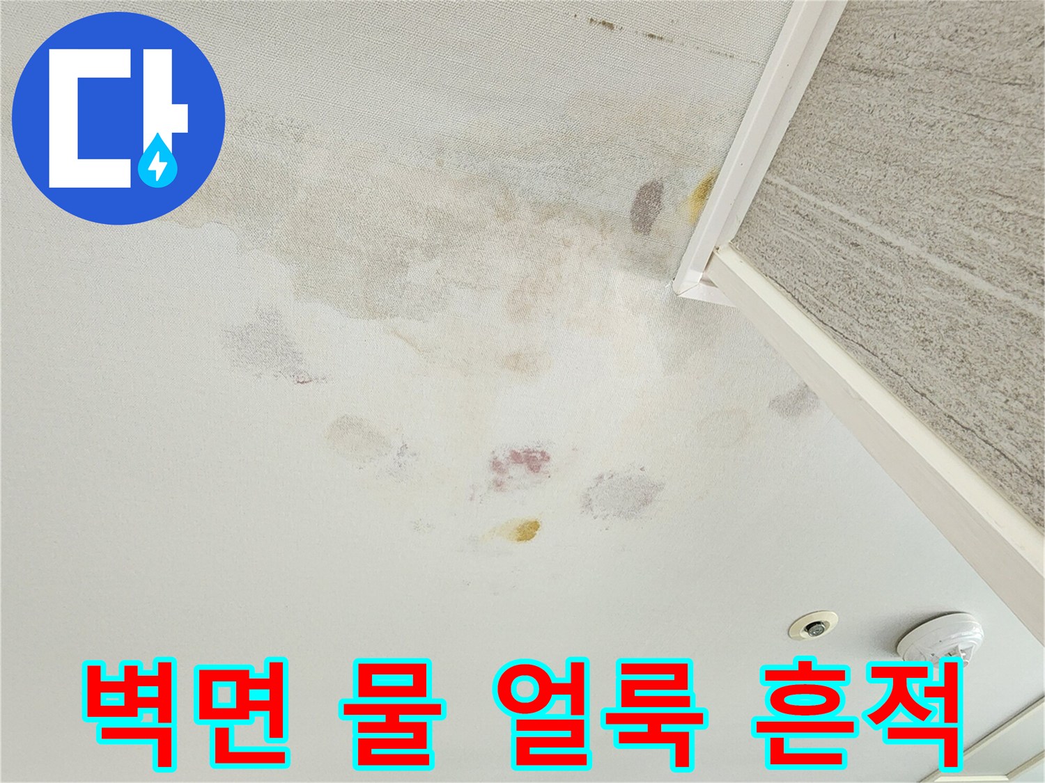 포천 무봉리 아파트 벽면에 발생한 누수 흔적과 물 얼ভাবে 얼룩