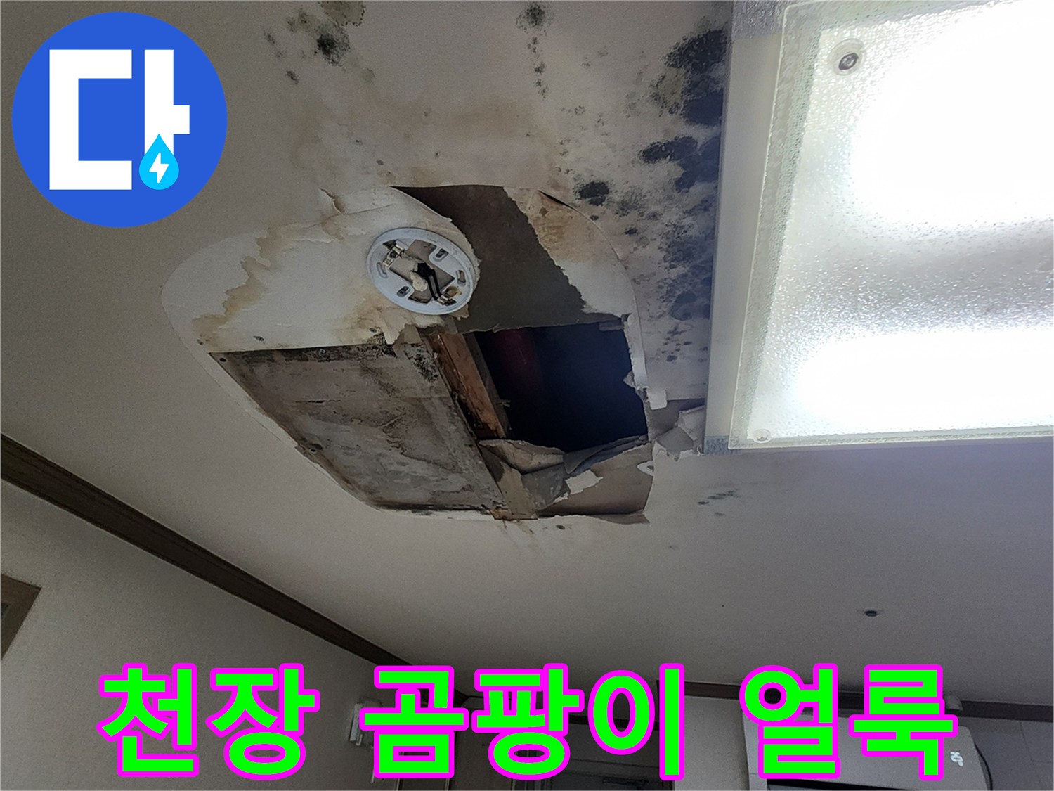포천 무봉리 현장의 천장 곰팡이 및 물 얼룩 상태