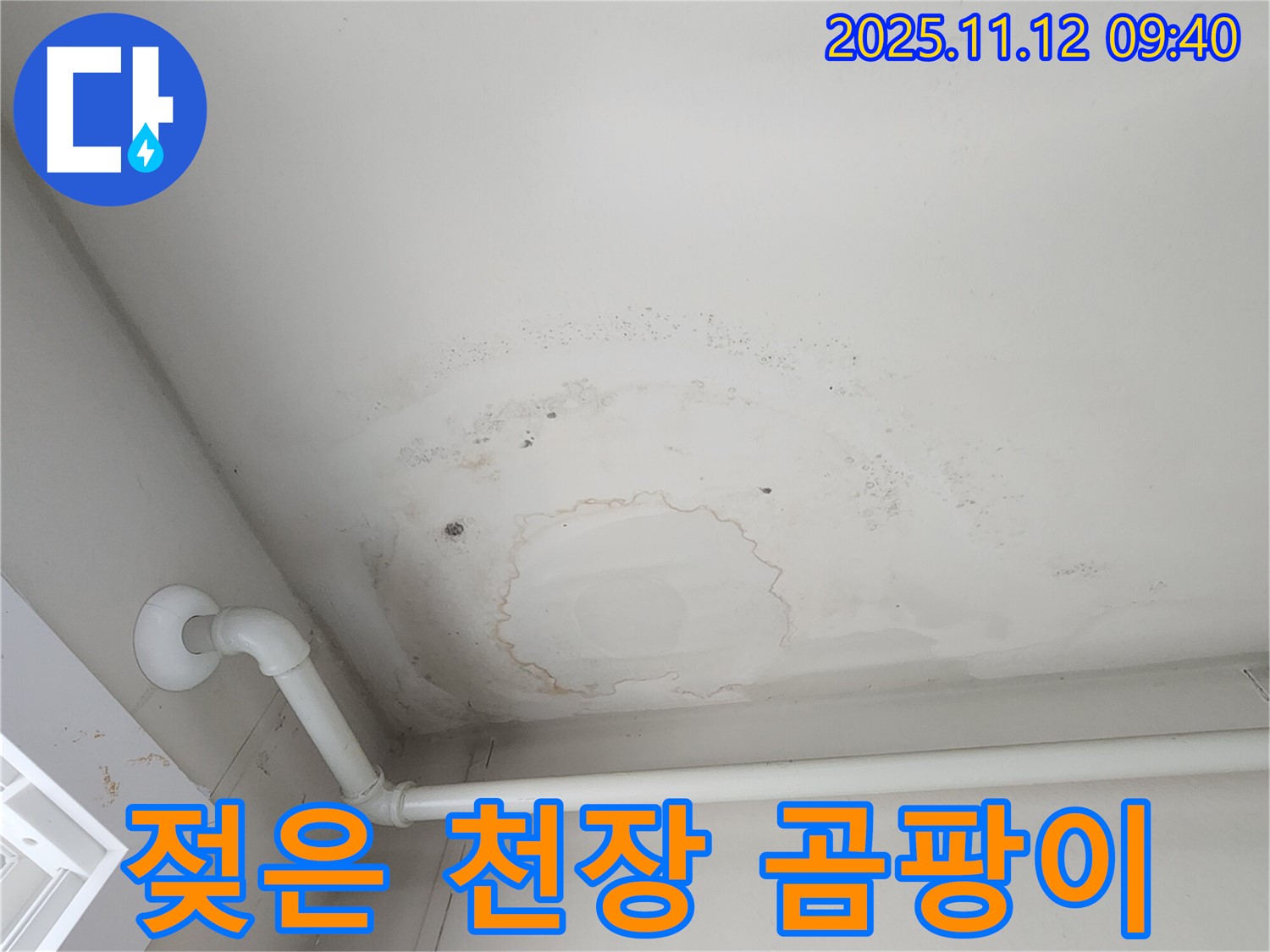 포천 소흘읍 누수 - 젖은 천장, 곰팡이, 악취... 전문가 필요!