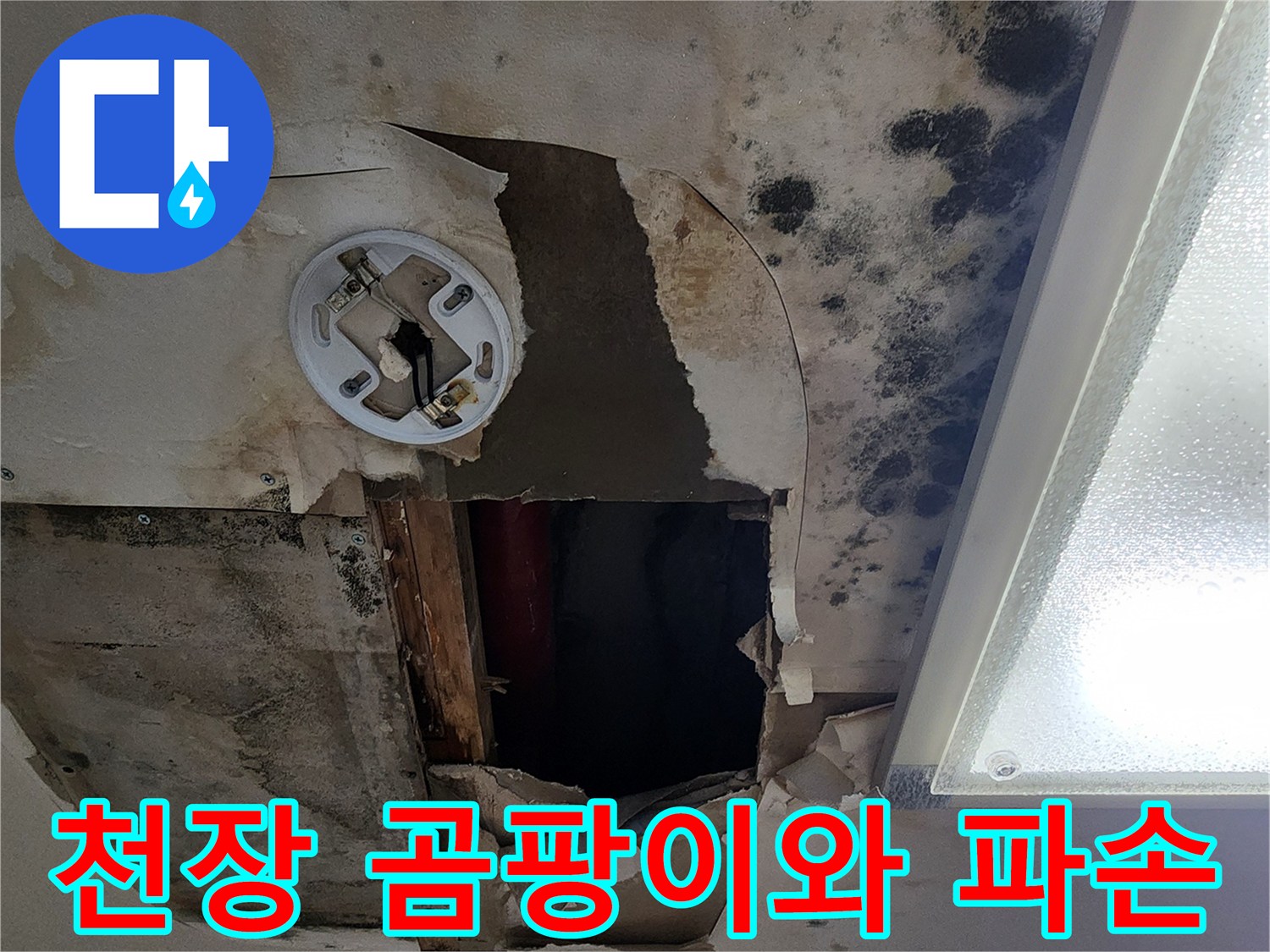 포천시 소흘읍 아파트-천장 곰팡이 및 석고보드 파손 상태