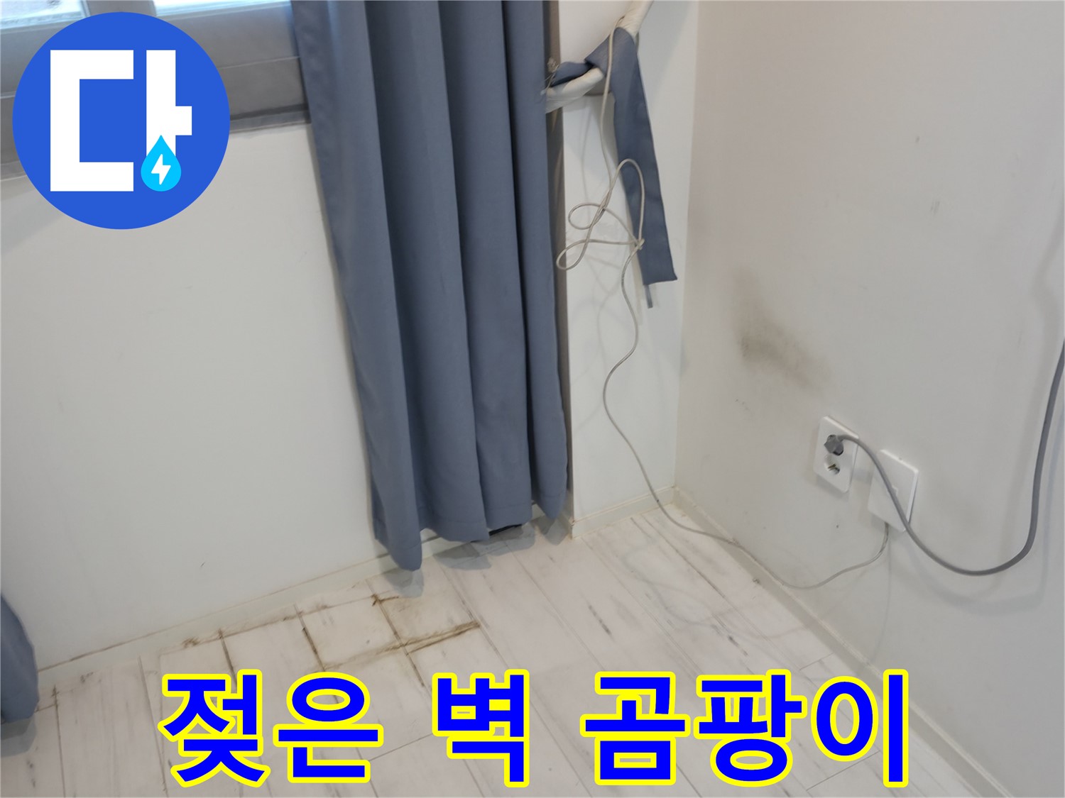 관악구 누수 - 젖은 벽, 곰팡이 - 신속 해결