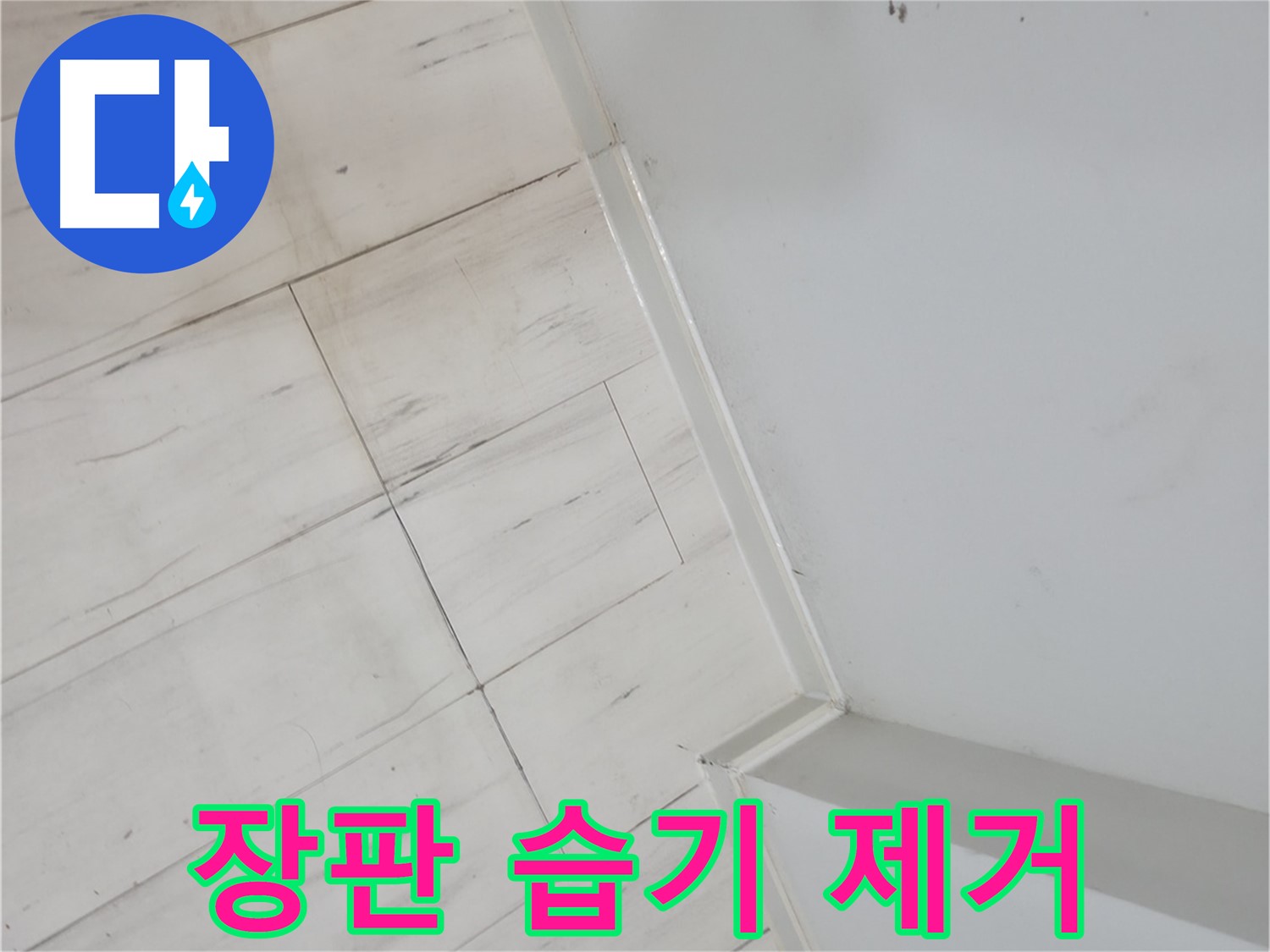 관악구 장판 밑 - 습기 누수 해결