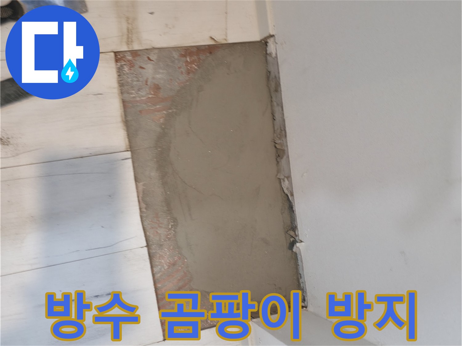 방수 시멘트 미장 - 곰팡이 걱정 이제 그만!