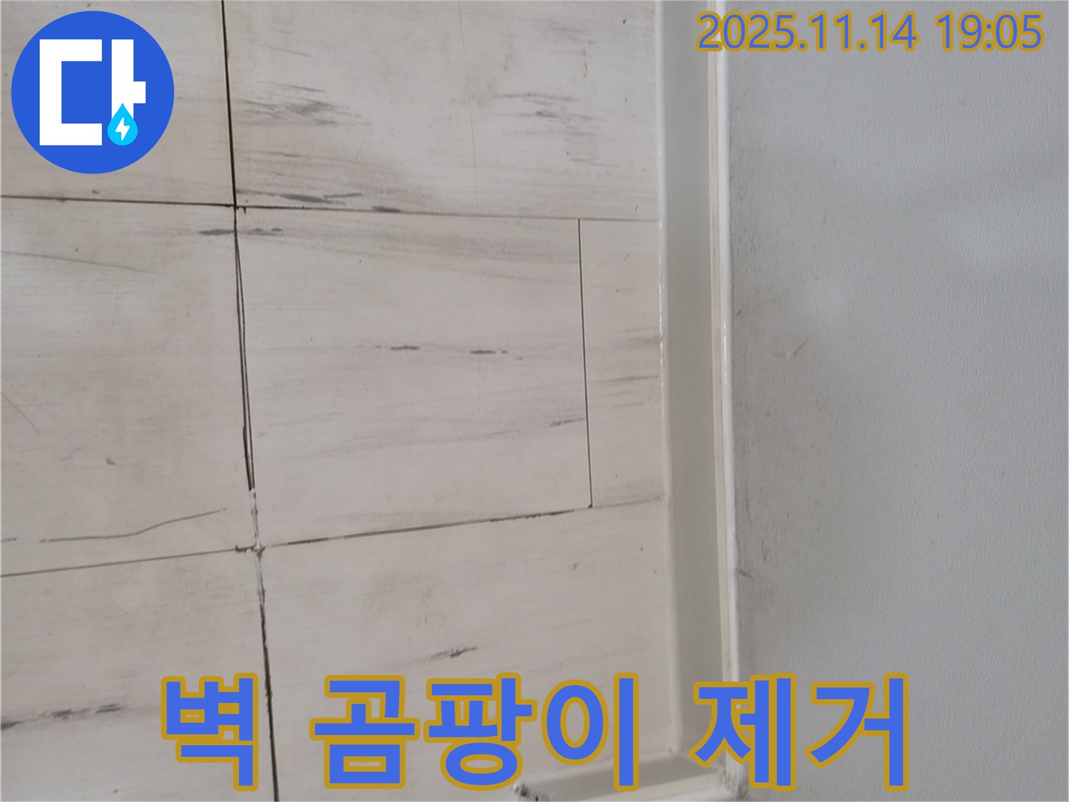 벽 곰팡이 제거 - 쾌적한 공간으로 - 안심하고 생활하세요!